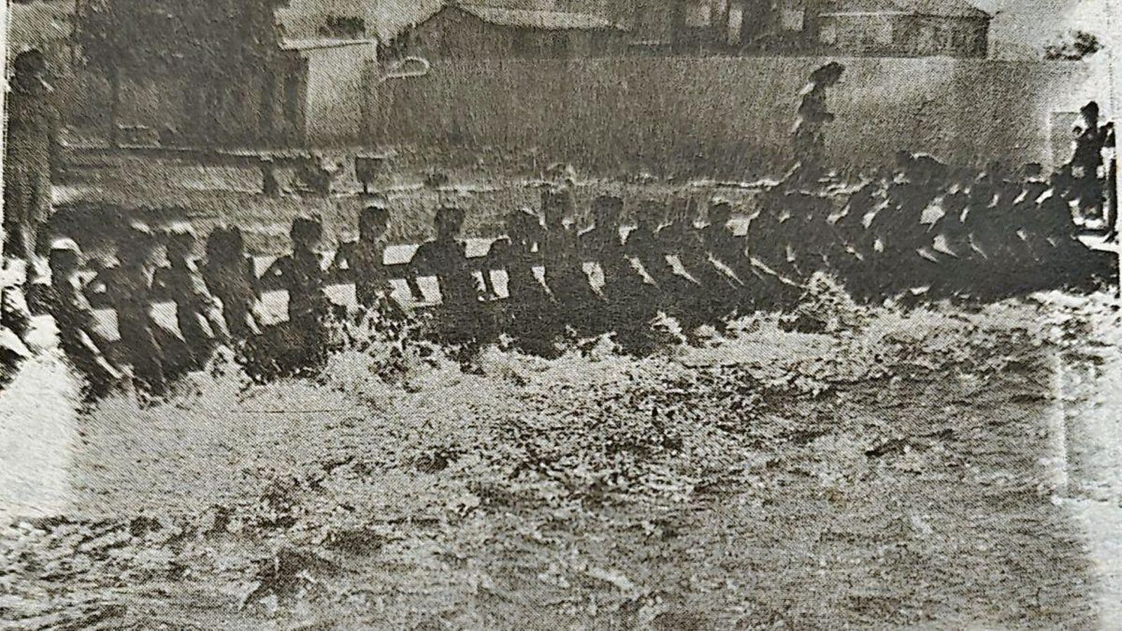 Ejercicios de los participantes en el curso de natación.