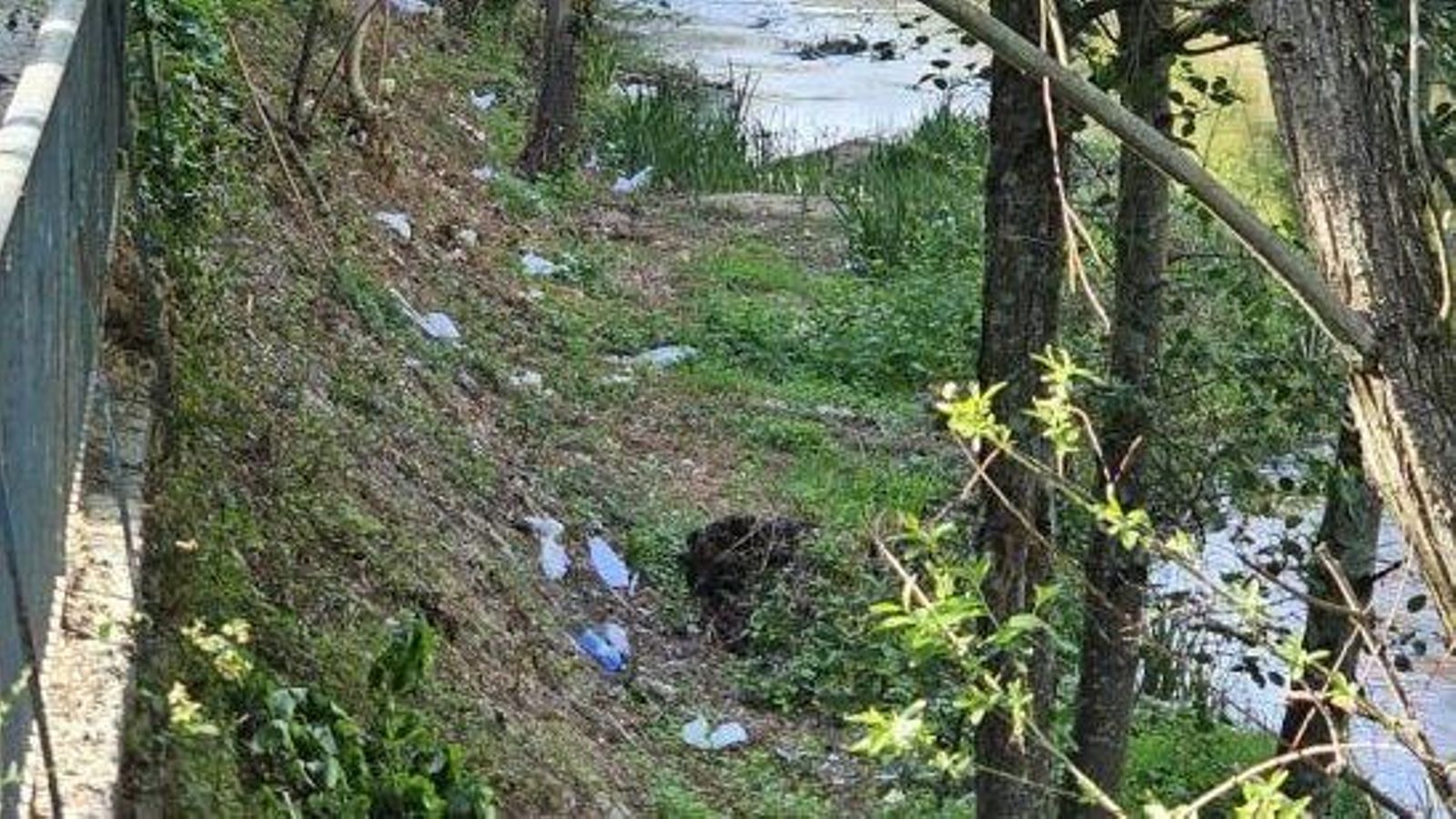 Basura en las orillas del Barbaña.