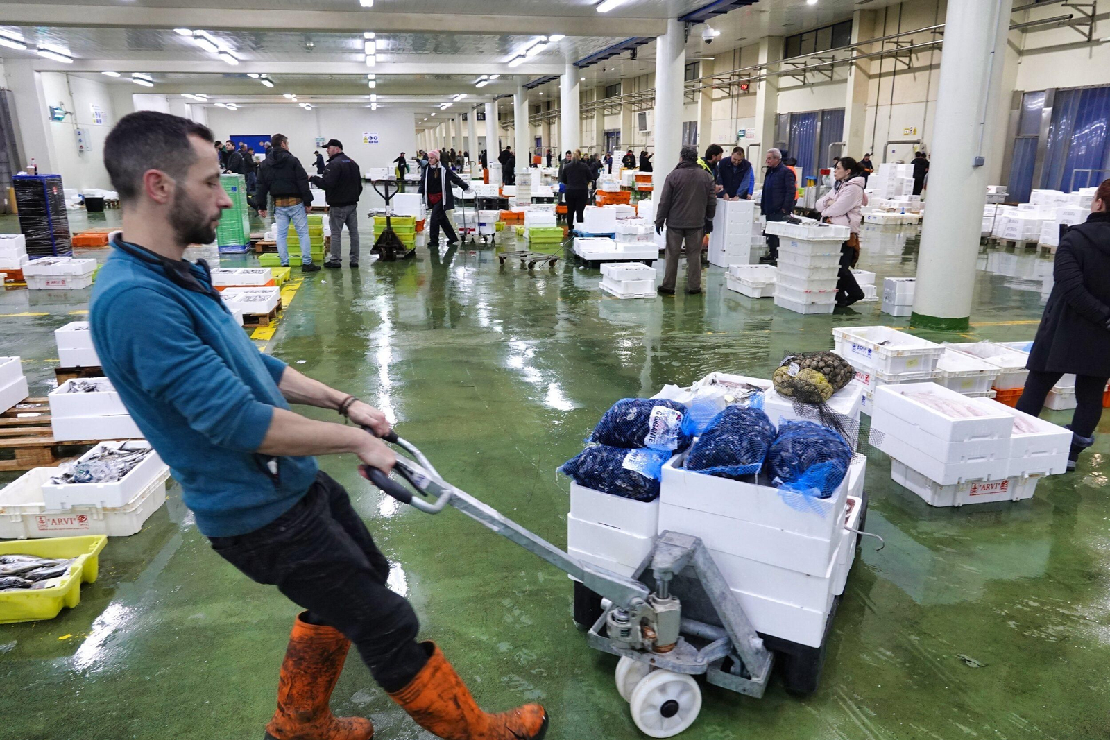 Trabajo de madrugada en la lonja del Berbés