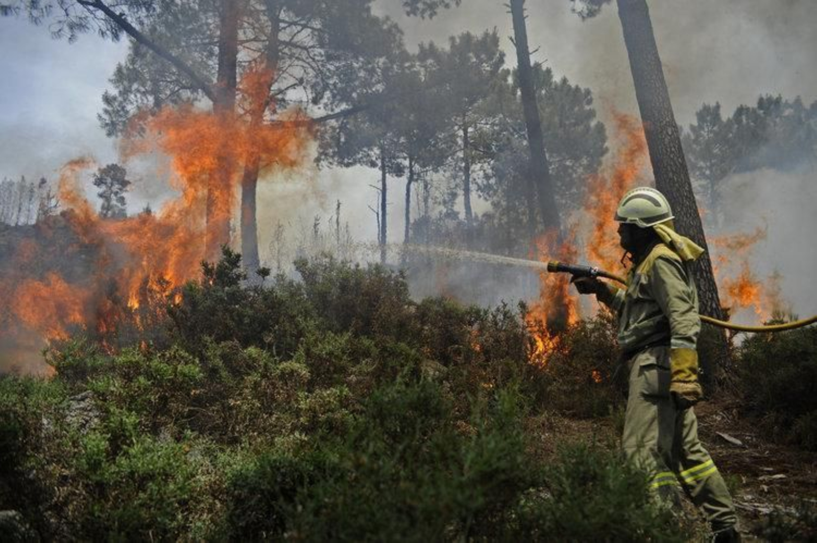 Incendio forestal el 8 de junio de 2016.