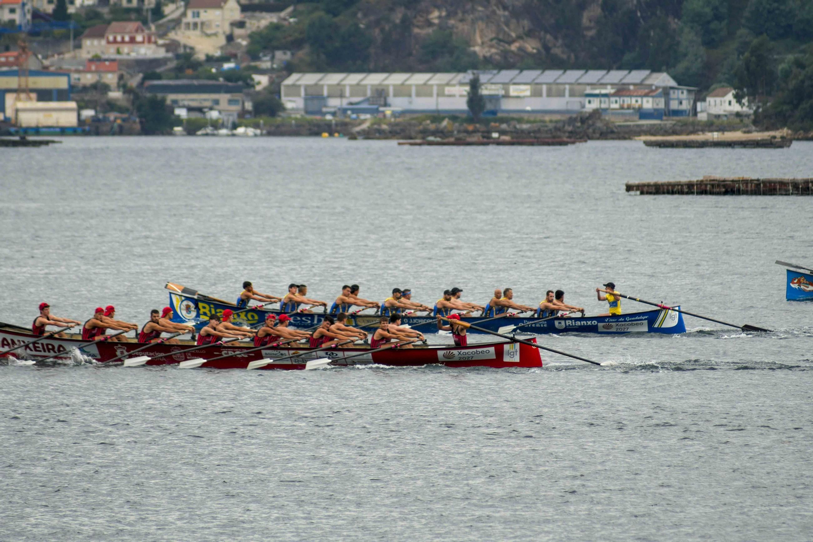 Galería | Las traineras se dan cita en el paseo de Cardona