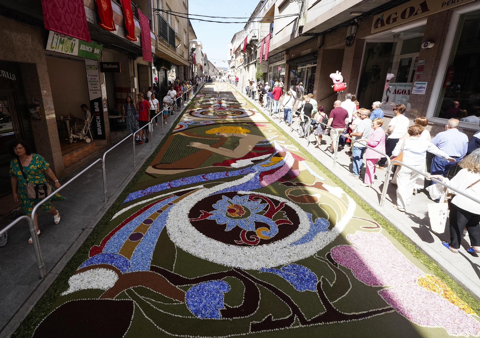 Celebración del Corpus en Ponteareas.