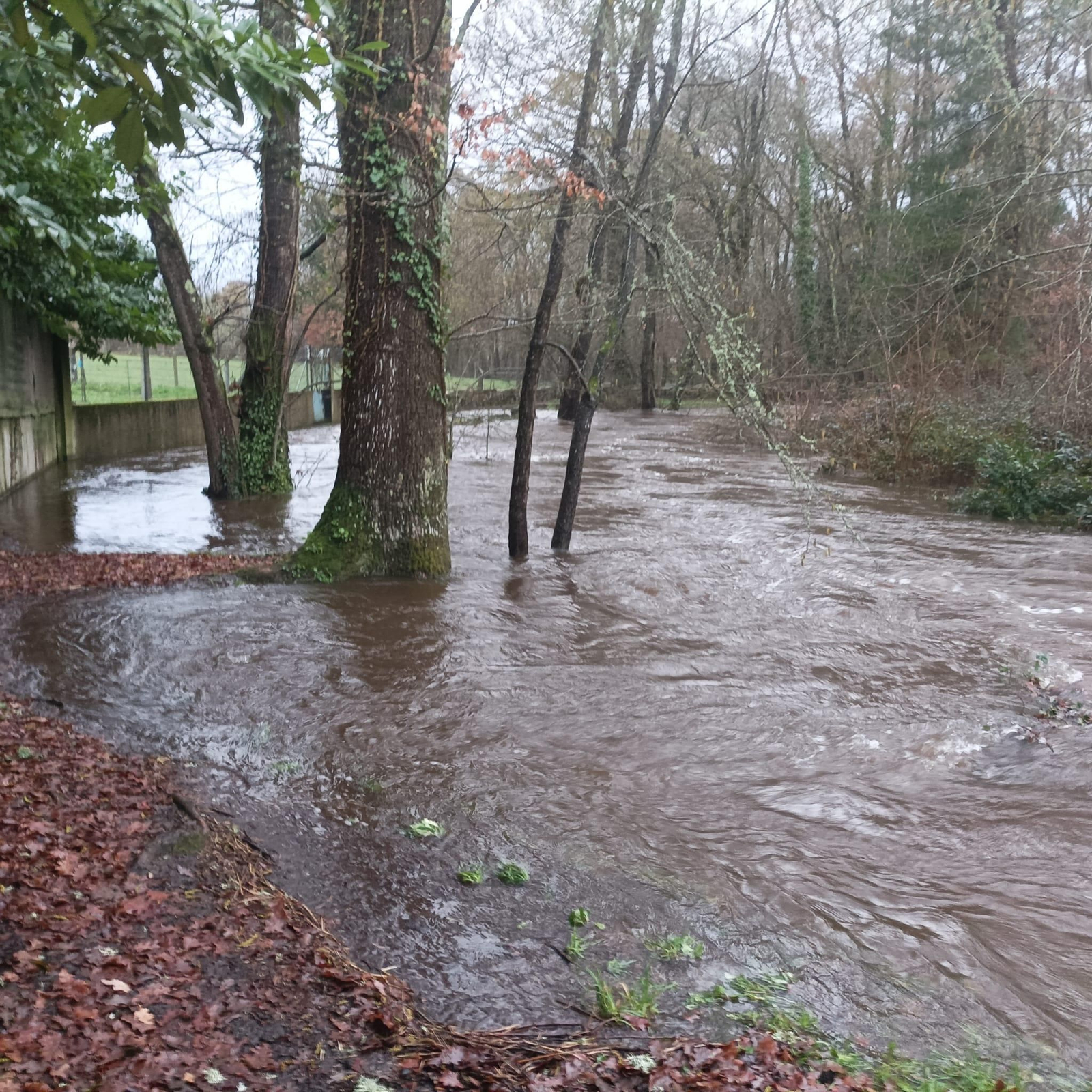 Galería | Las lluvias causan desbordamientos en los ríos de la provincia de Ourense