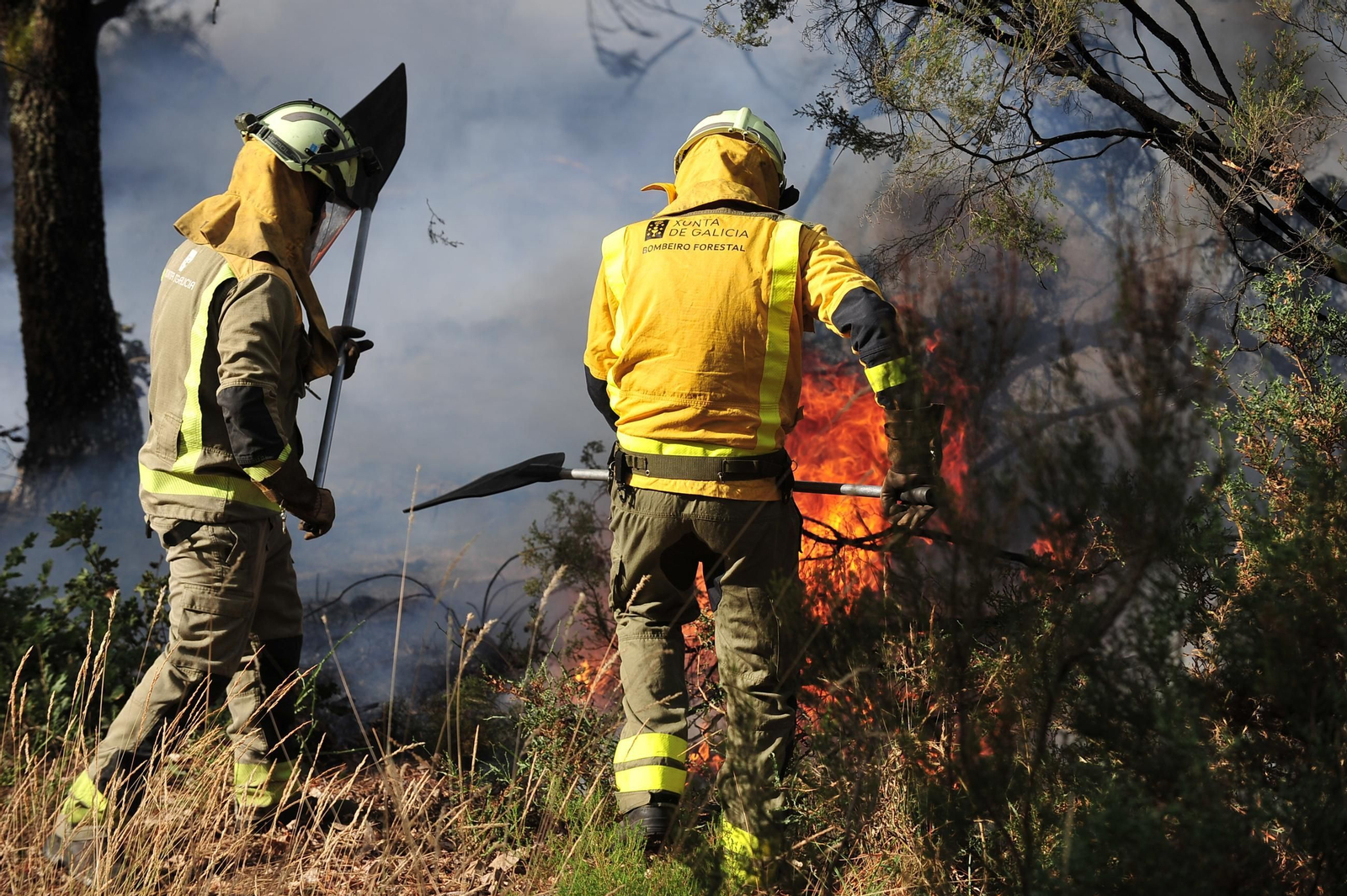 Galería | Despliegue de medios para extinguir un incendio en Rante
