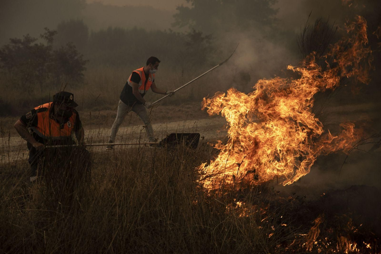 Incendio en el concello de Cualedro. (FOTO: ÓSCAR PINAL)