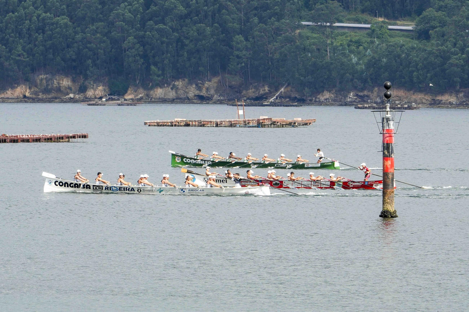 Galería | Las traineras se dan cita en el paseo de Cardona