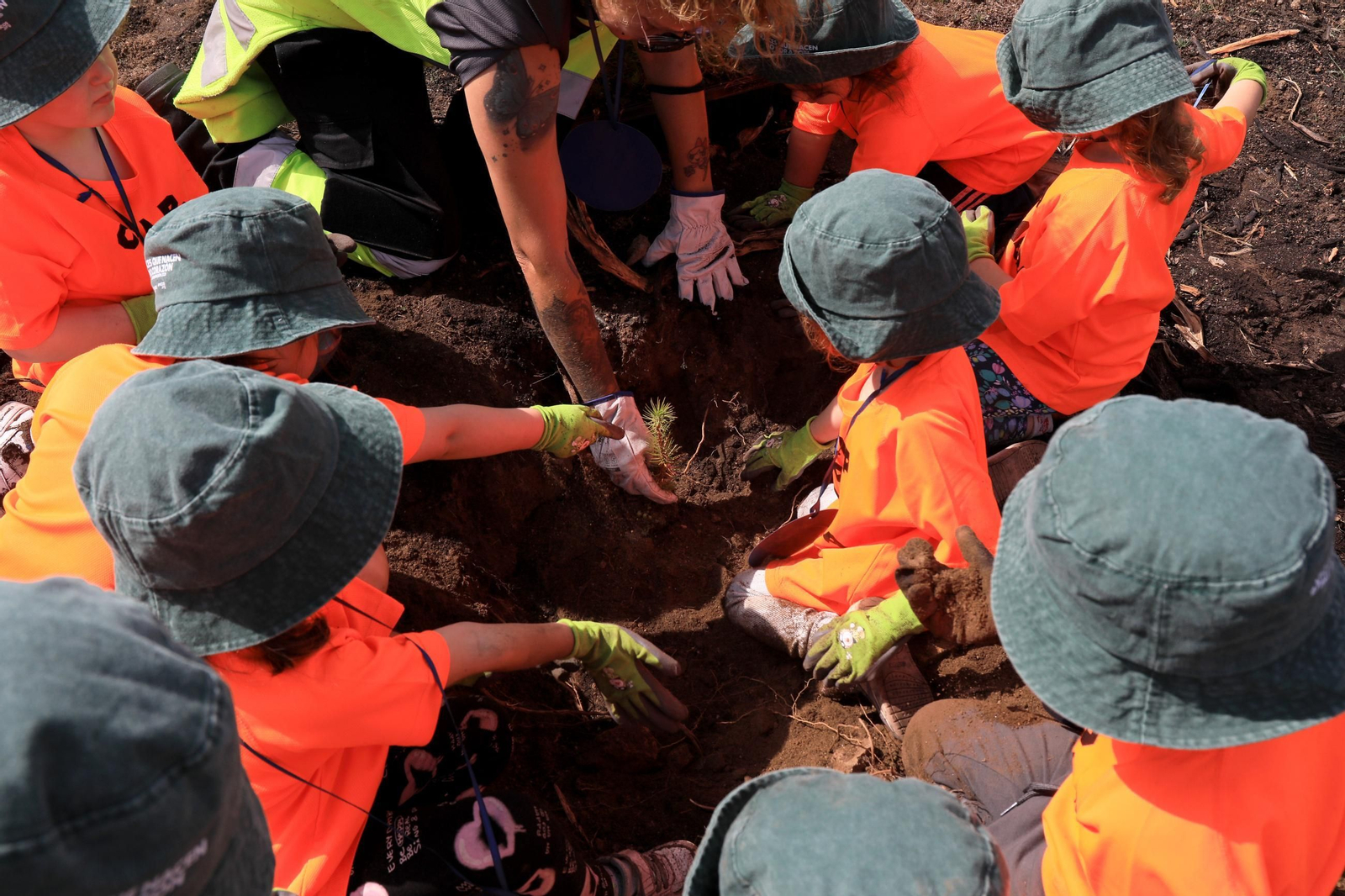Galería | Numerosos niños reforestan A Caridade tras los incendios del pasado agosto