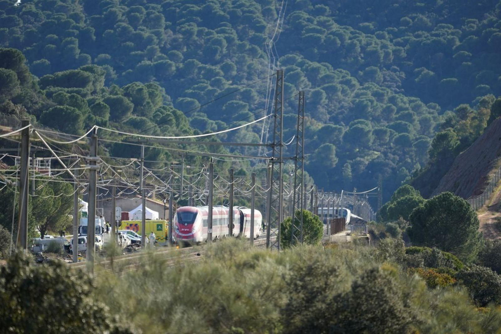 Vista general del lugar del accidente, con los trenes al fondo.