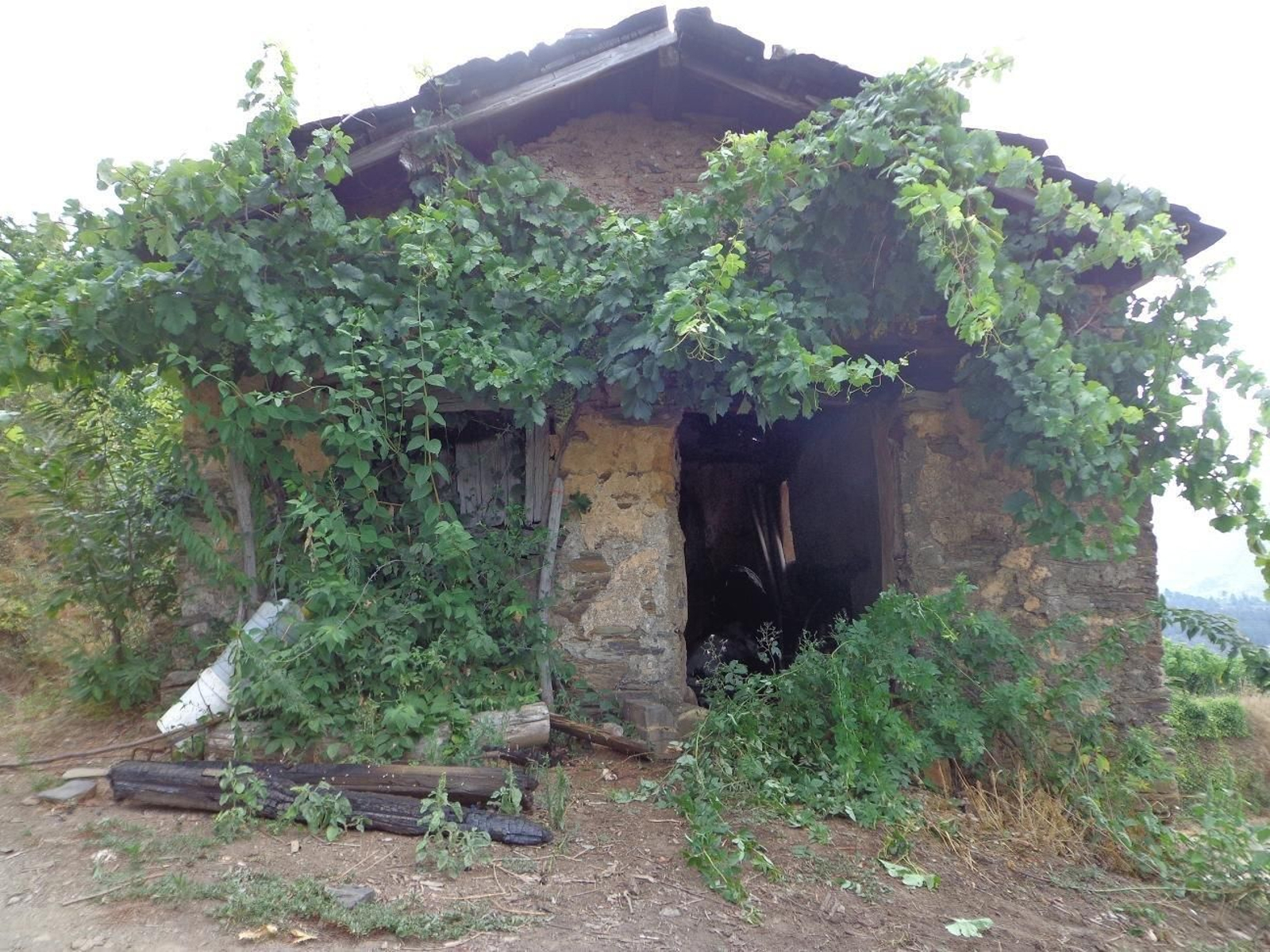 Antigua capilla, objeto de una acción de vandalismo.