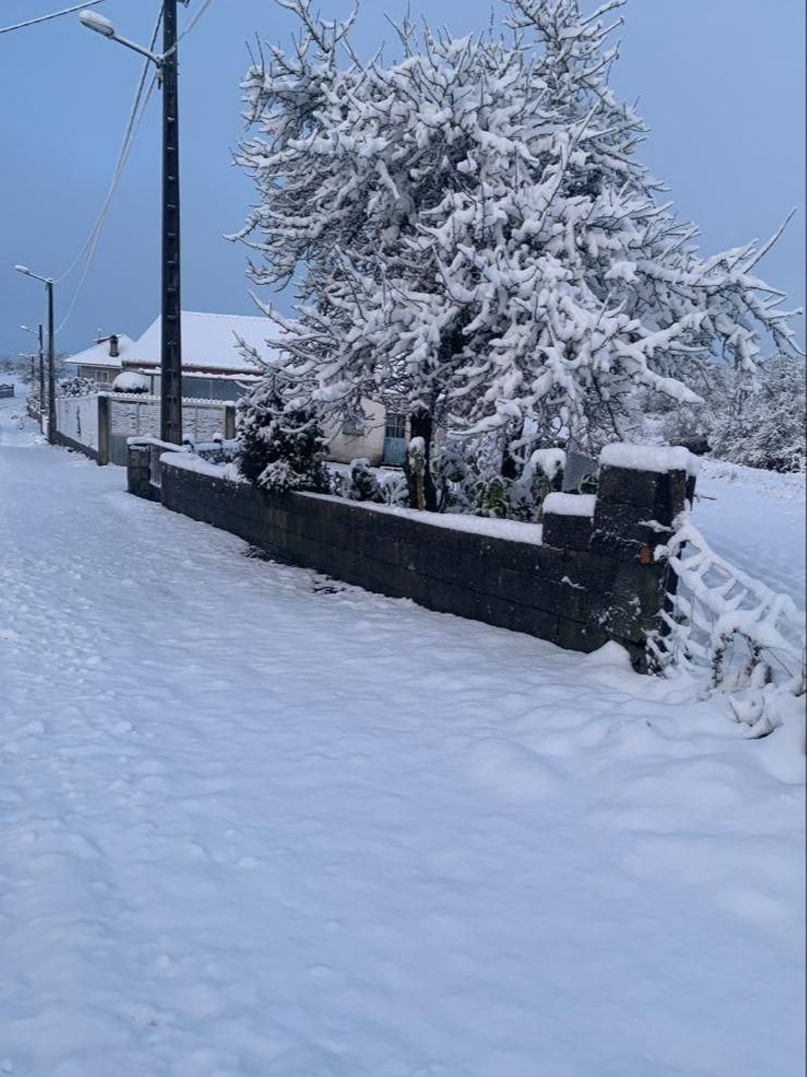 Feás (Calvos de Randín) cubierto de nieve