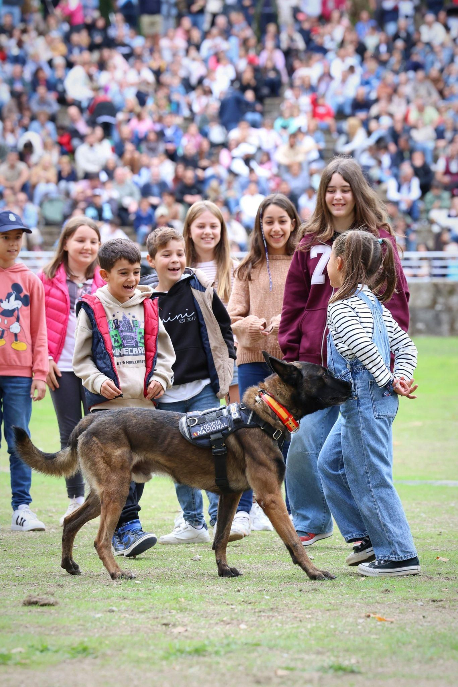 Exhibición de perro policía en Castrelos