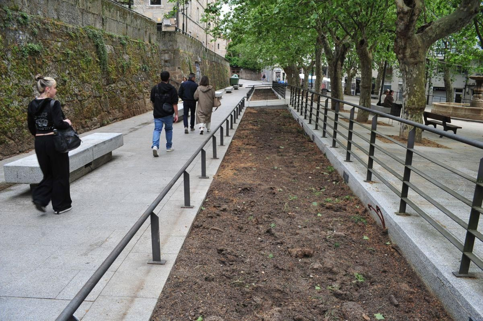 Los antiguos estanques de As Mercedes, cubiertos de abono