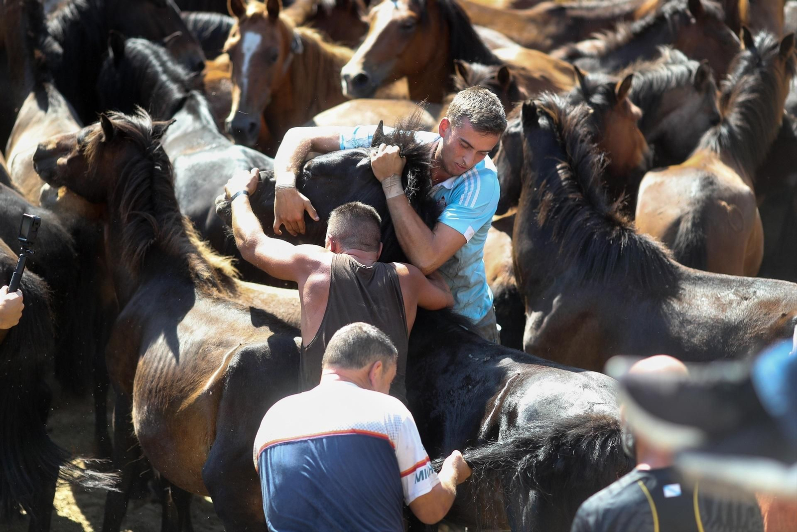 Una Rapa das Bestas de Sabucedo llena de fuerza, tradición y emoción, en fotos