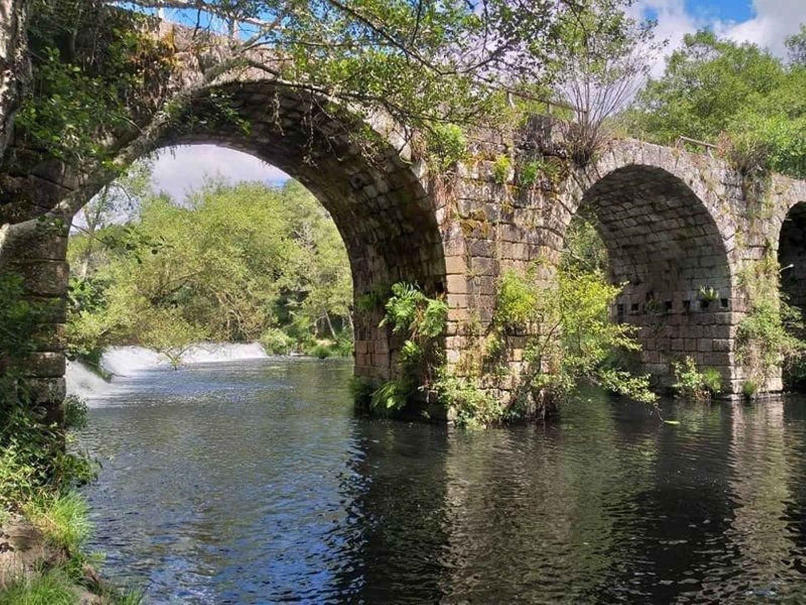 Estado actual de Ponte Freixo.