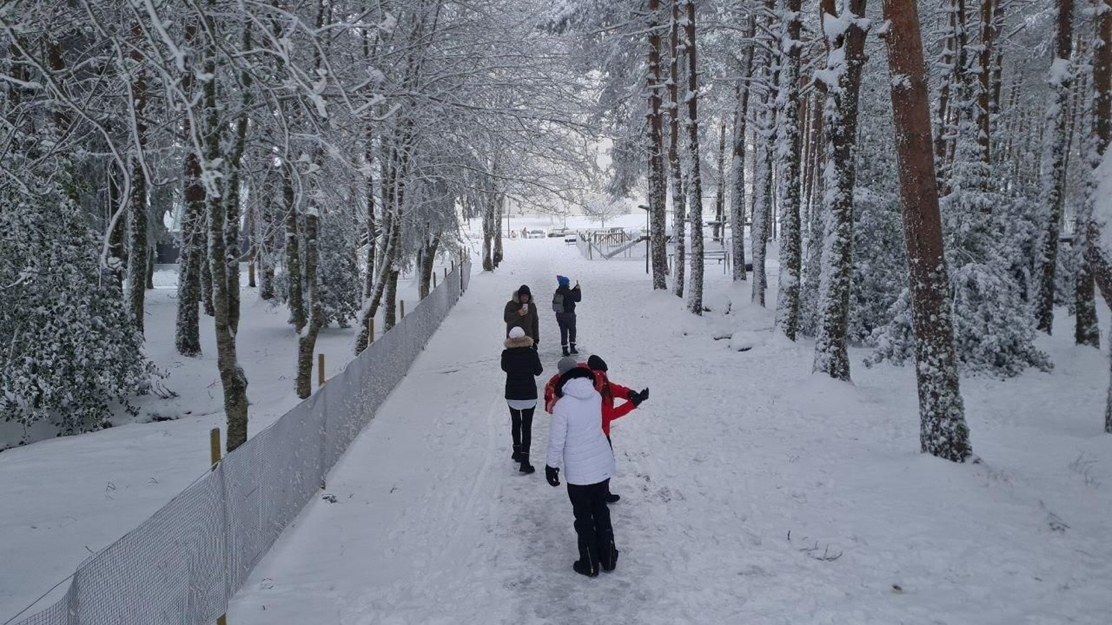 Pequeños y mayores se lo pasan en grande en Manzaneda.