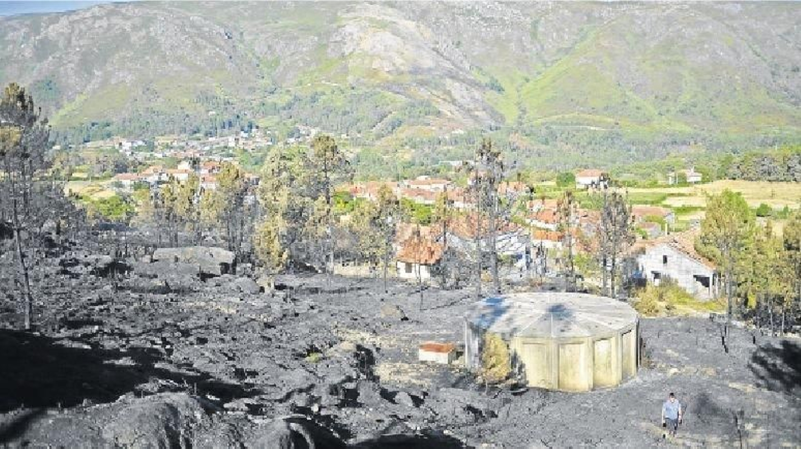 Aspecto que presentaba el monte ardido en Entrimo.
