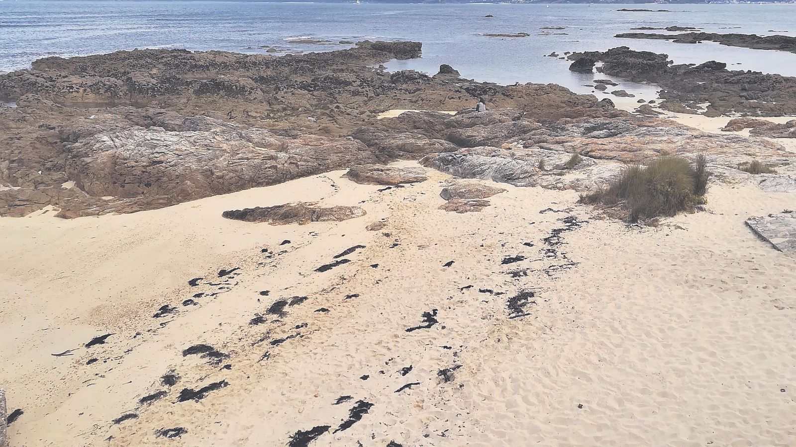 BURACA, CERCA DE CABO ESTAI