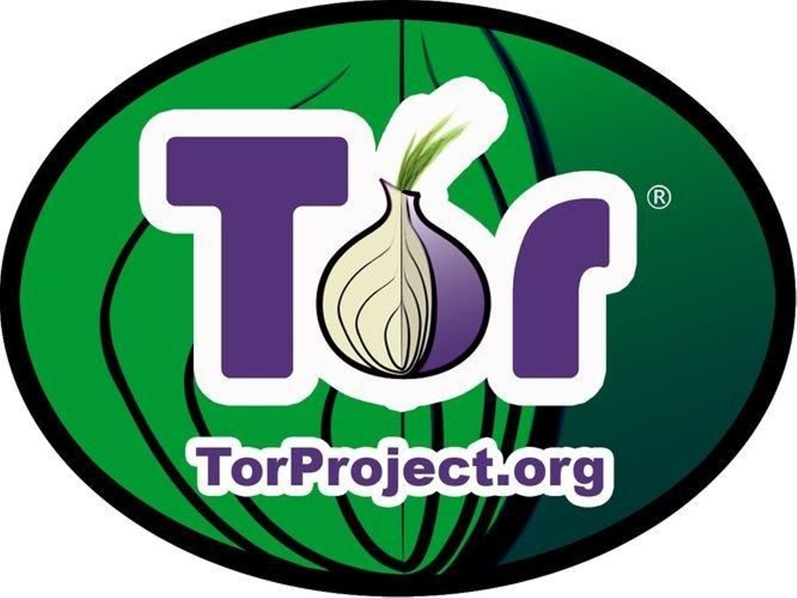 El acceso más utilizado a la Deep Web es a través de la denominada red TOR ("The Onion Router") y su navegador Tor-Browser-Bundle.