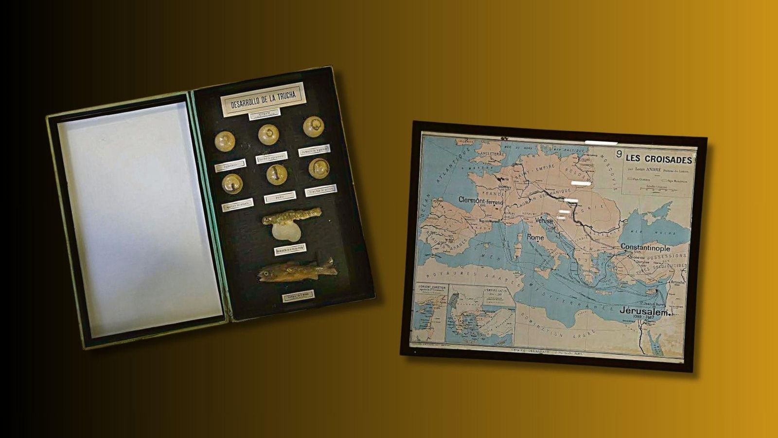 En cera, el desarrollo de un huevo hasta convertirse en trucha. La maqueta la adquirió el Instituto en 1918. A su derecha, un mapa frances de las Cruzadas.