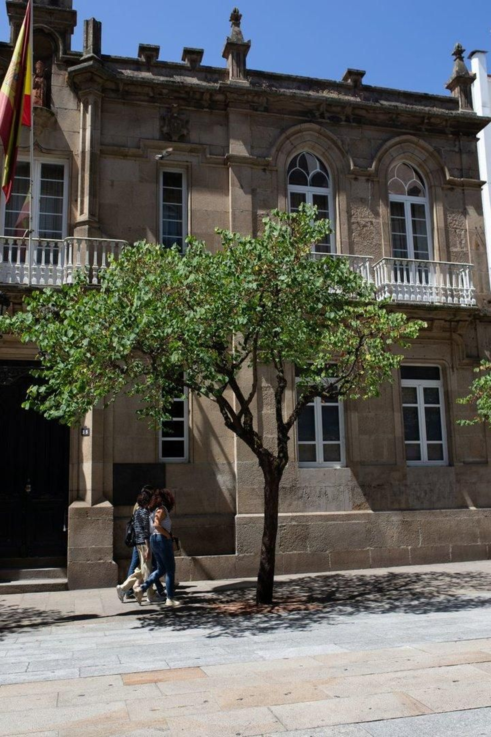 Ejemplar con estrés hídrico en la calle del Paseo.