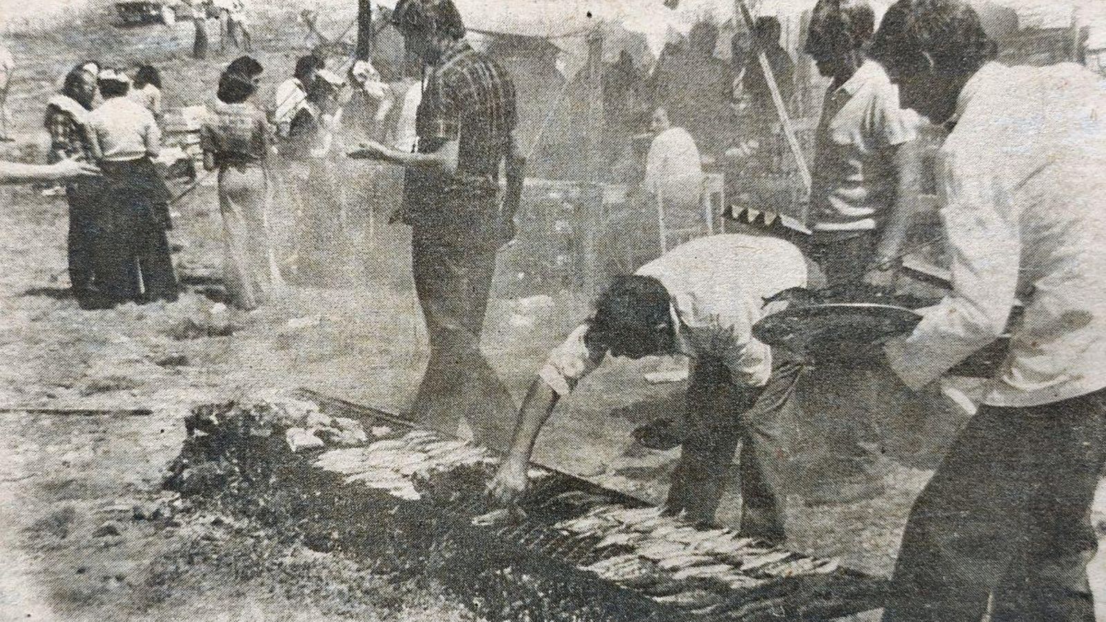 “Sardiñada” en la Romería de Cabeza de Manzaneda.