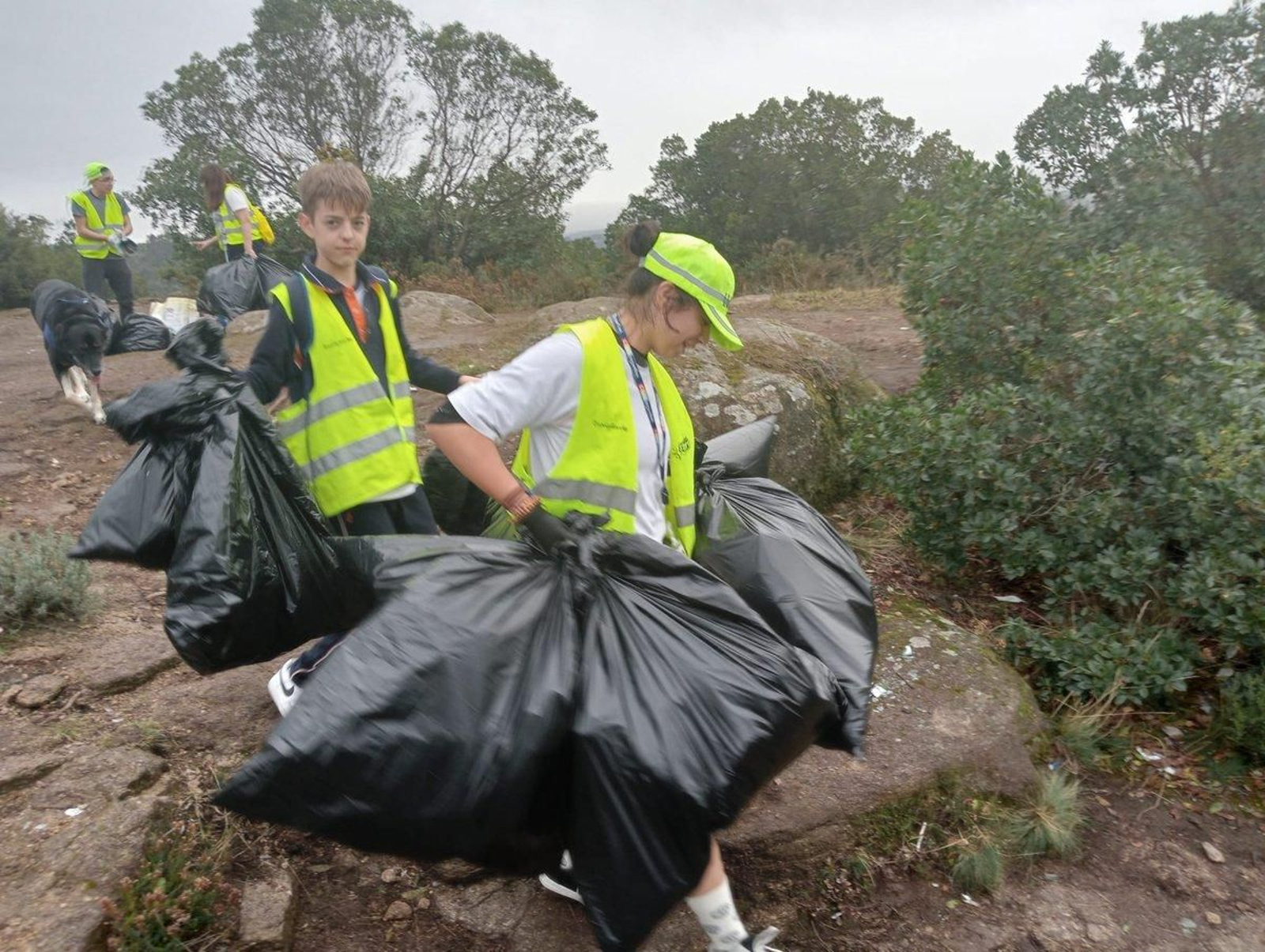 Los Ecovigilantes limpian los restos de la fiesta del magosto.