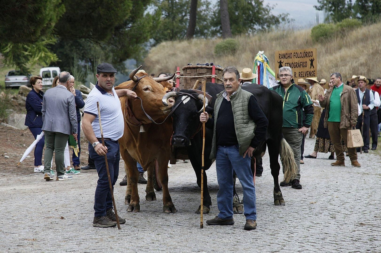 Comitiva del folión del carro tradicional que cargaba los kilos de uva (foto: MIGUEL ÁNGEL).