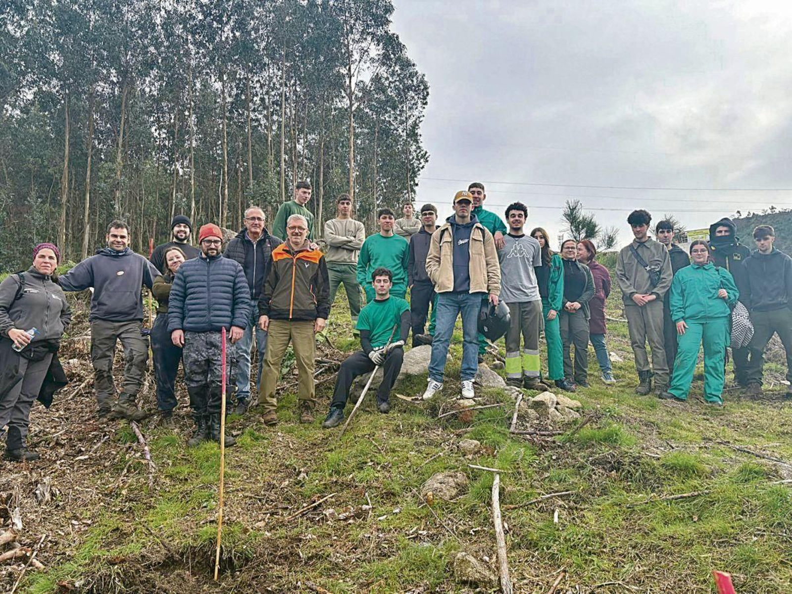 Las acciones de repoblación y recuperación del monte han contado con la participación de voluntarios y de los centros educativos.