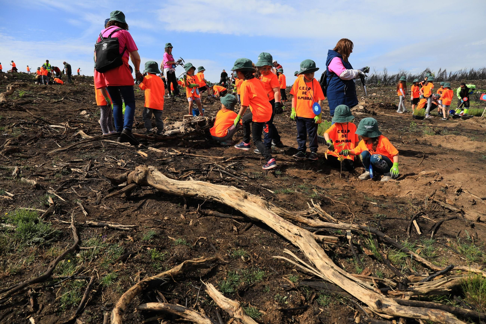 Galería | Numerosos niños reforestan A Caridade tras los incendios del pasado agosto