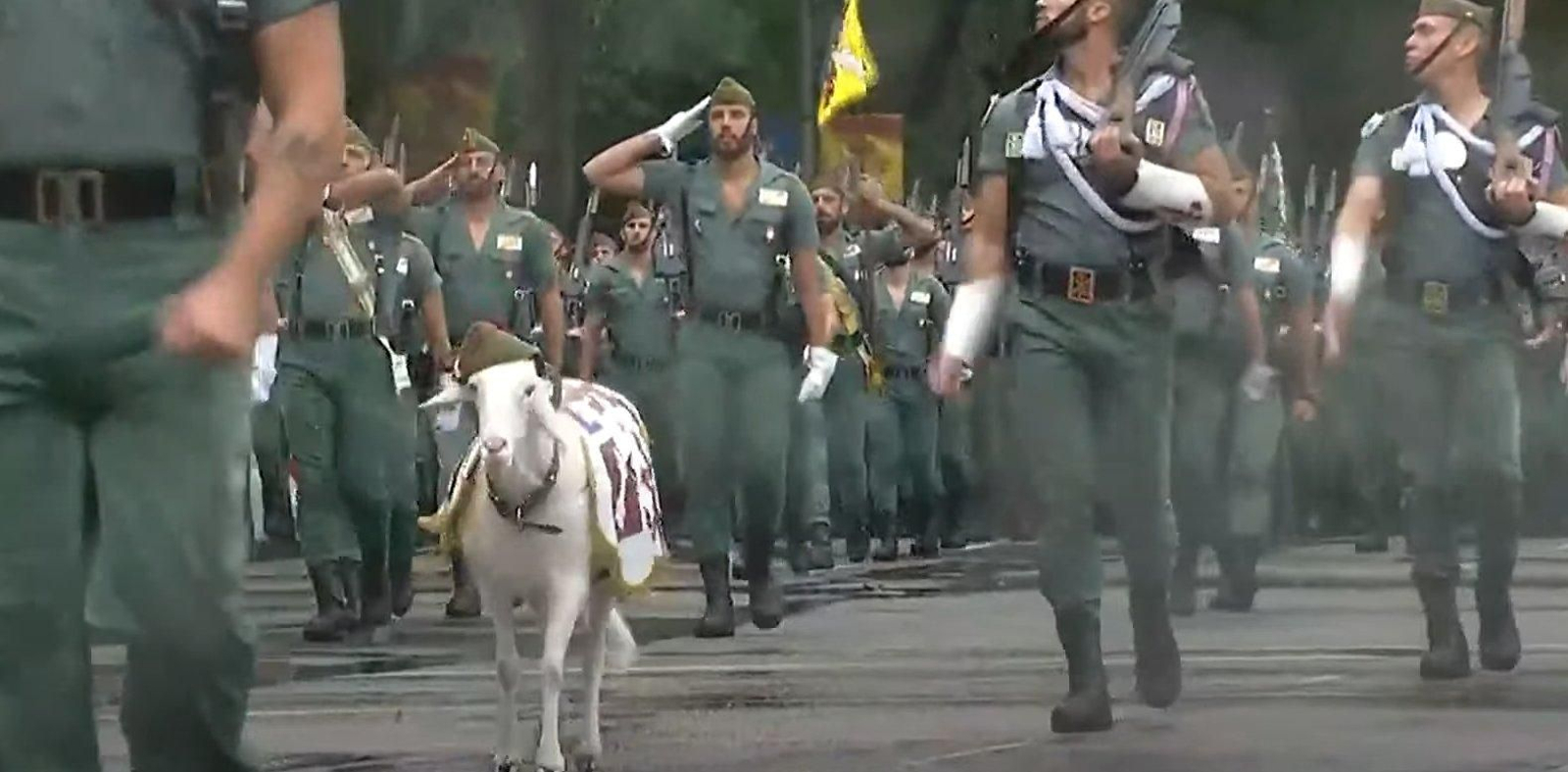 La cabra de la Legión