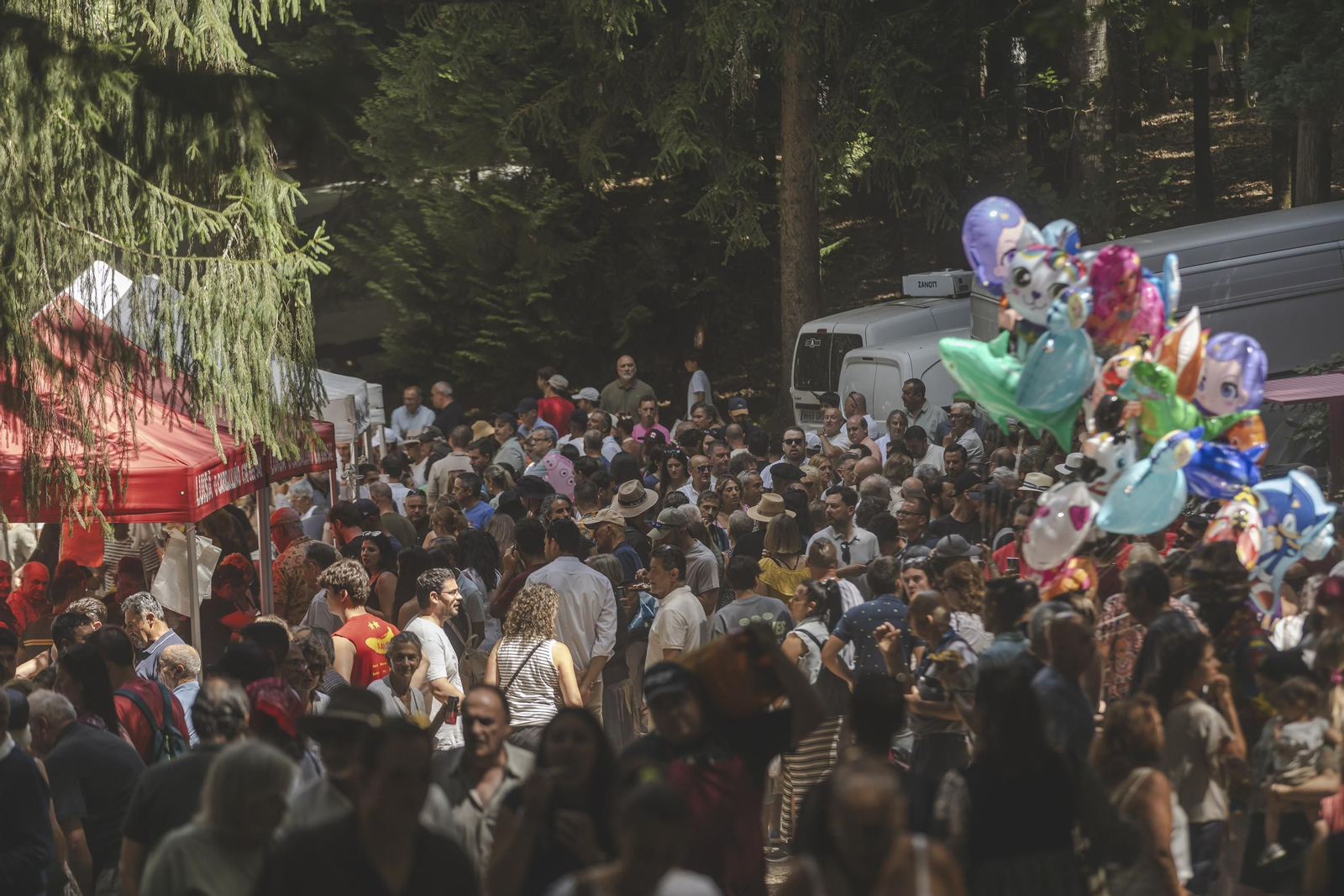 Galería | O Carballiño vuelve a disfrutar un año más de la Festa do Pulpo