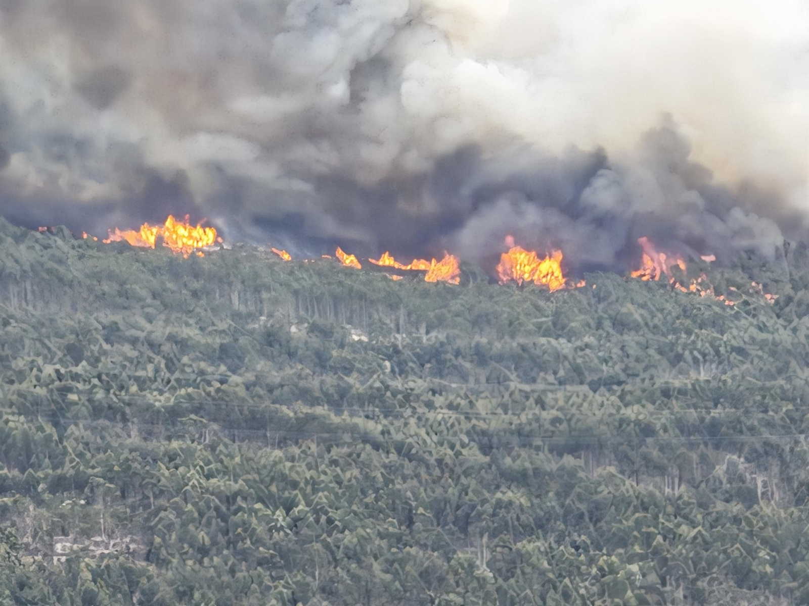 Galería | Las llamas devoran el monte Galleiro, entre Mos, Ponteareas y Pazos de Borbén