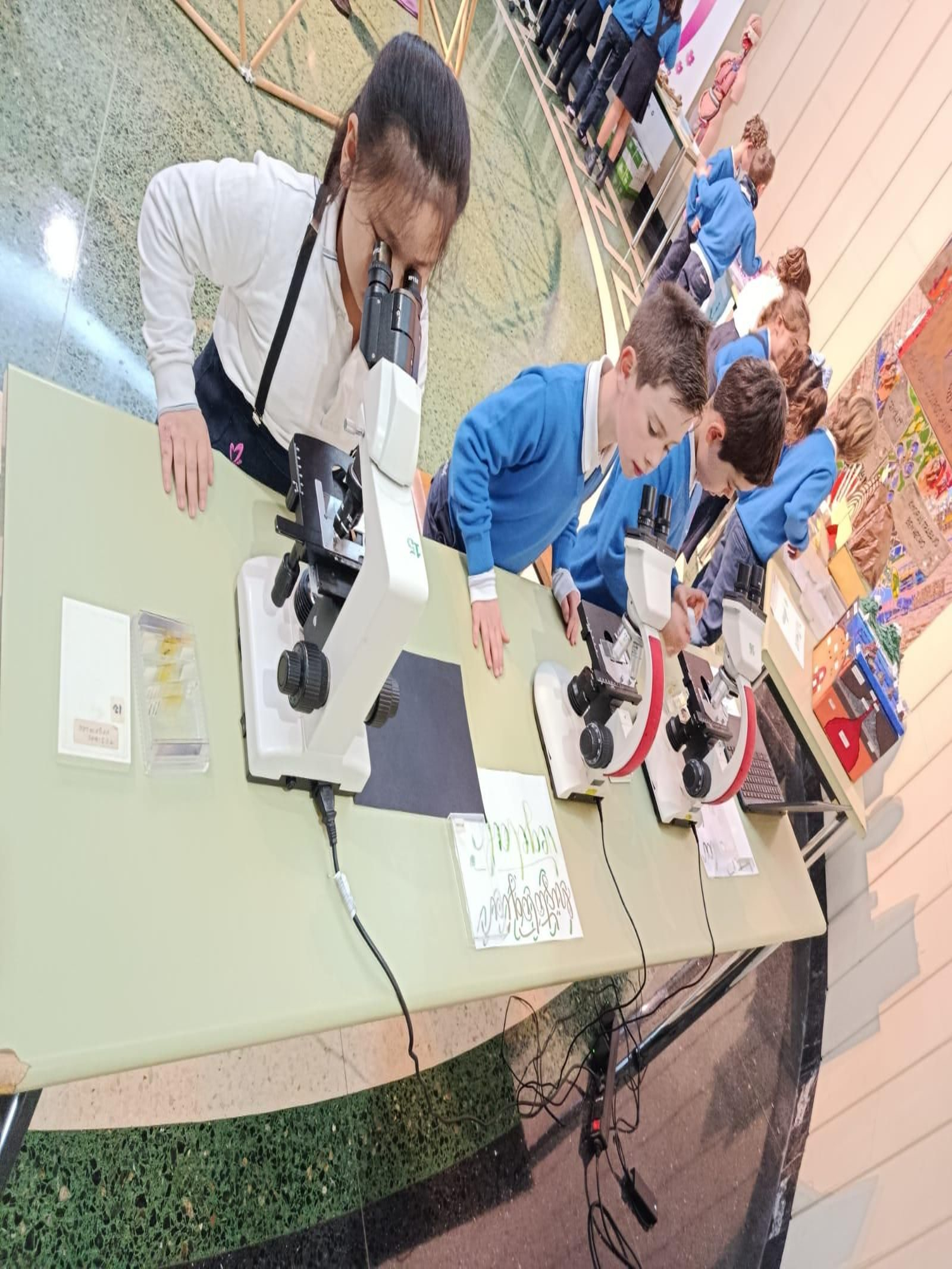 Prácticas de laboratorio