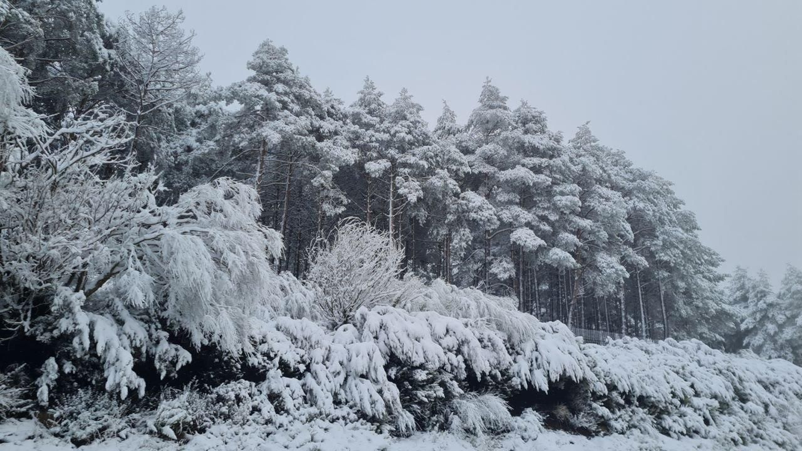 La Estación de Manzaneda, cubierta de nieve.