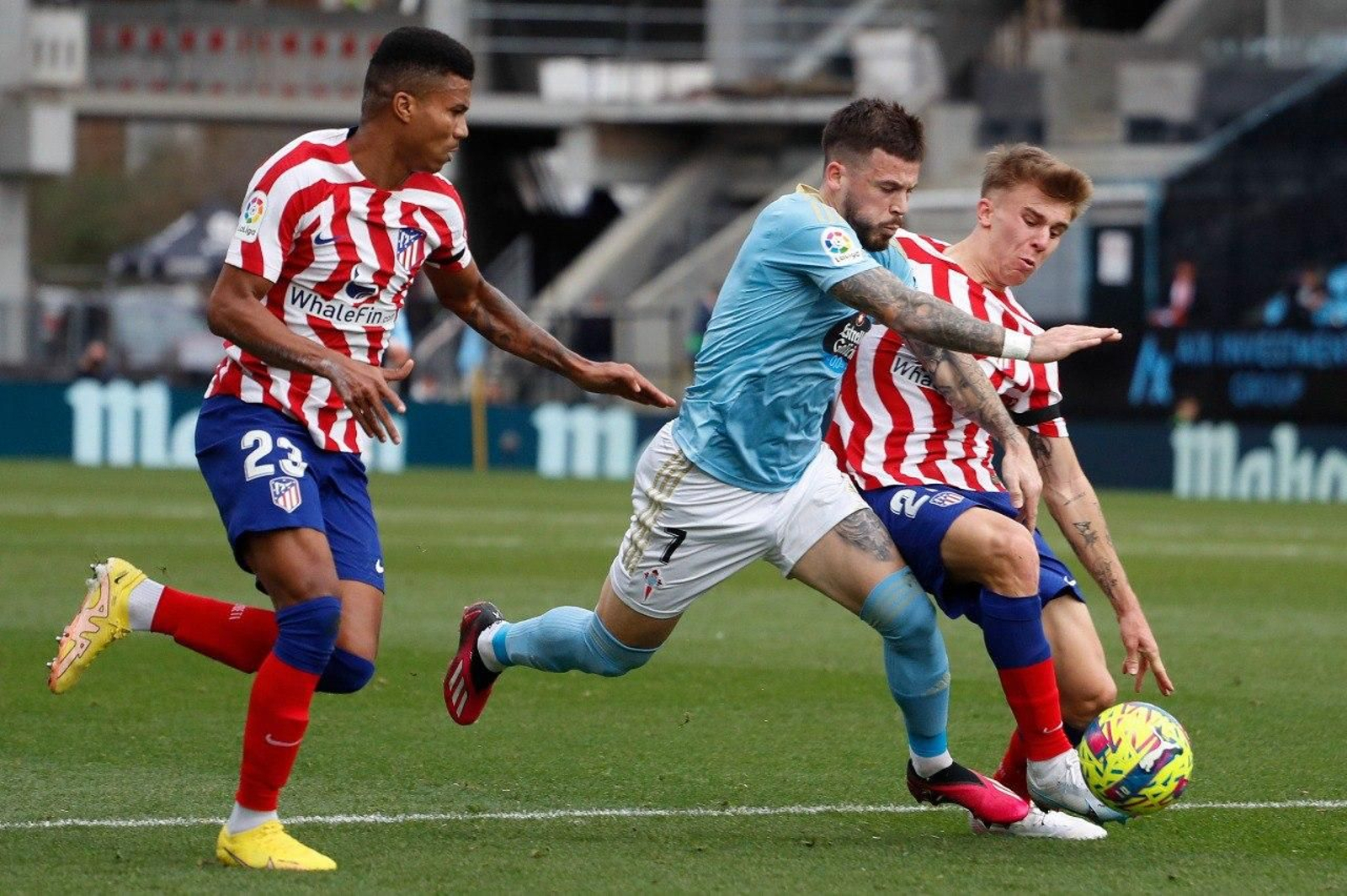 photo_2023-02-12_19-16-52