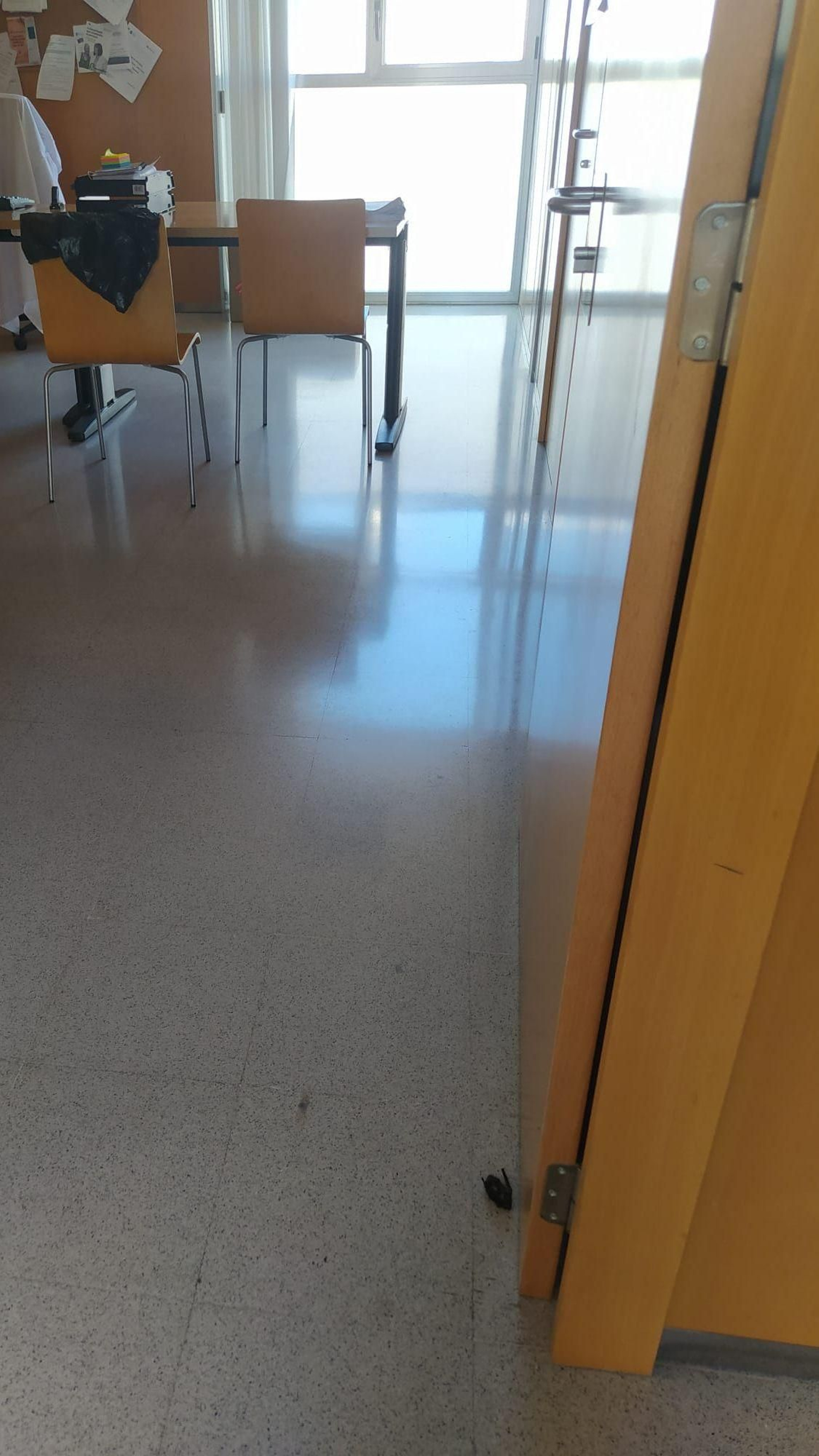 Un murciélago muerto en una de las estancias del centro de salud de Verín