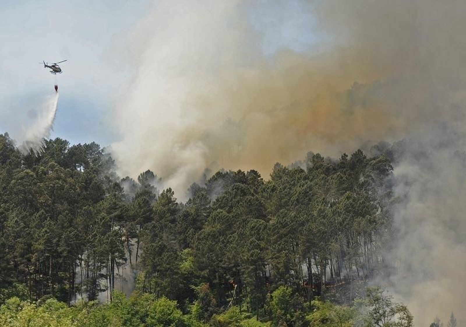 Cenlle 10/5/18
Incendio forestal en laias (Cenlle)

Fotos Martiño Pinal