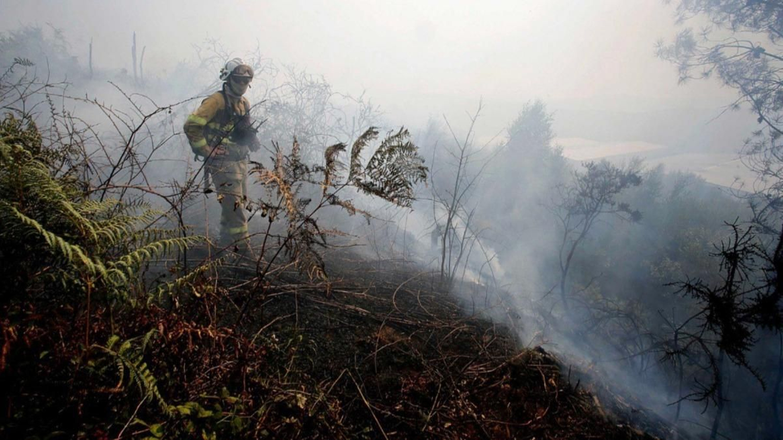 Zona de monte arrasada en Arbo y trabajos de extinción.