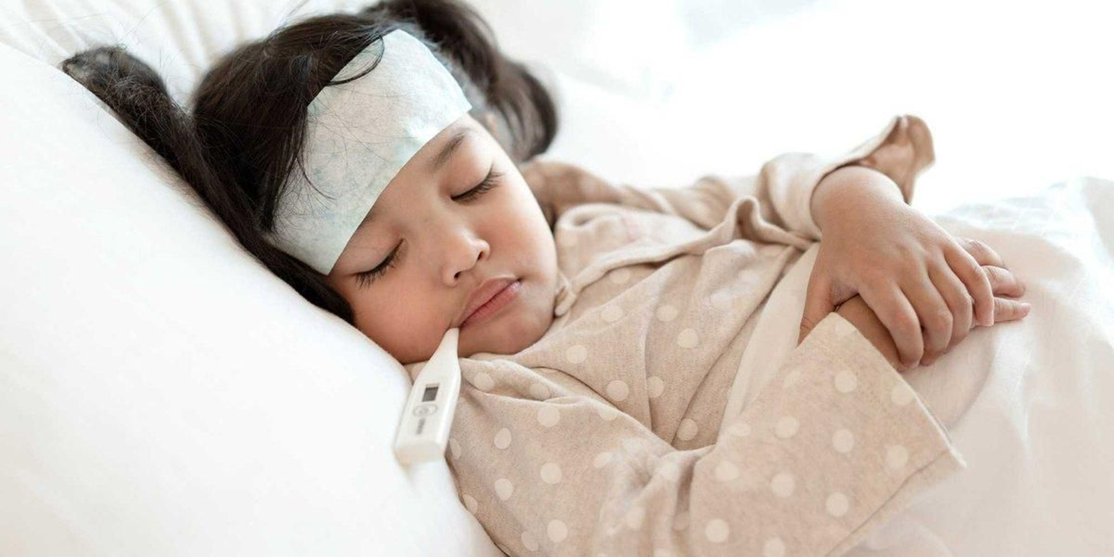 xornalescolar_2501_cosaga_01