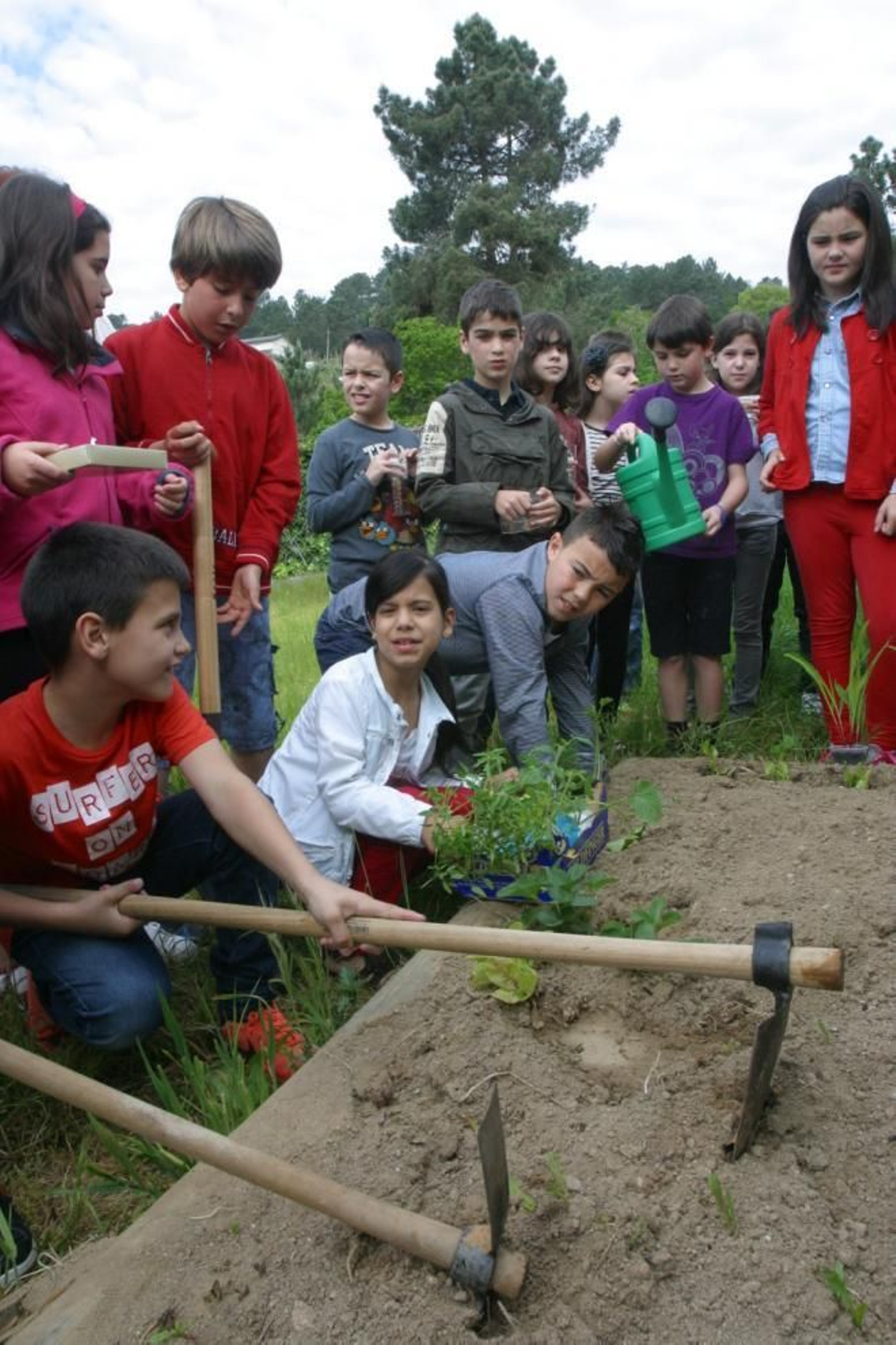 Alumnos/as CEIP O Ruxidoiro