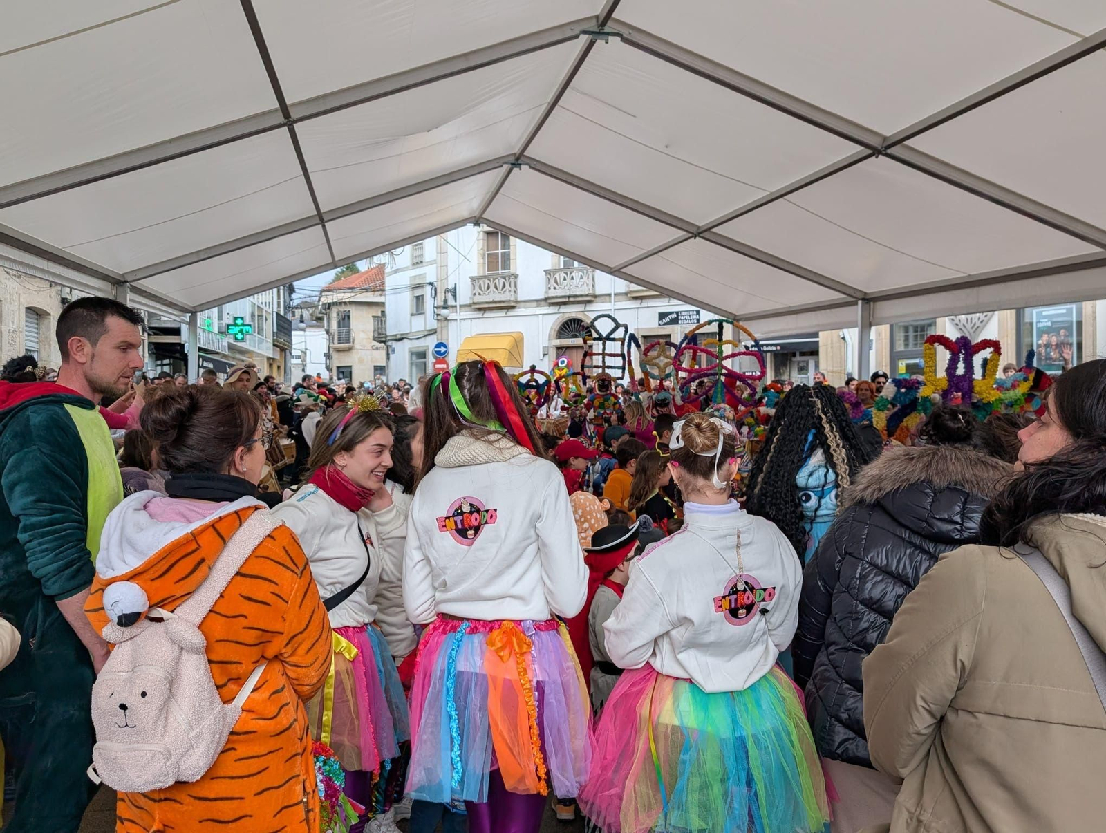 Galería | Entroido Miúdo de Viana do Bolo
