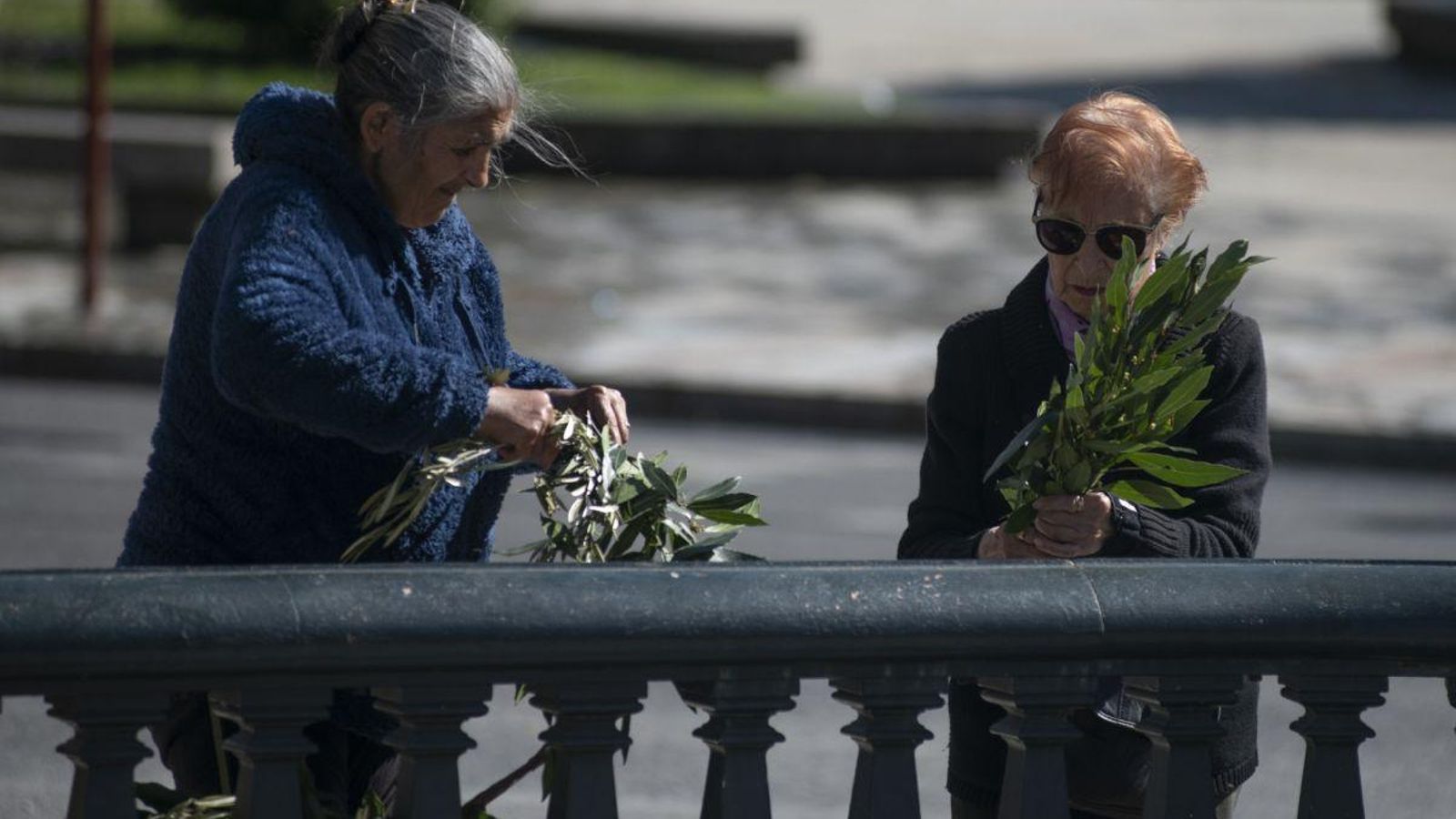 Una ourensana compra su ramo de olivo.