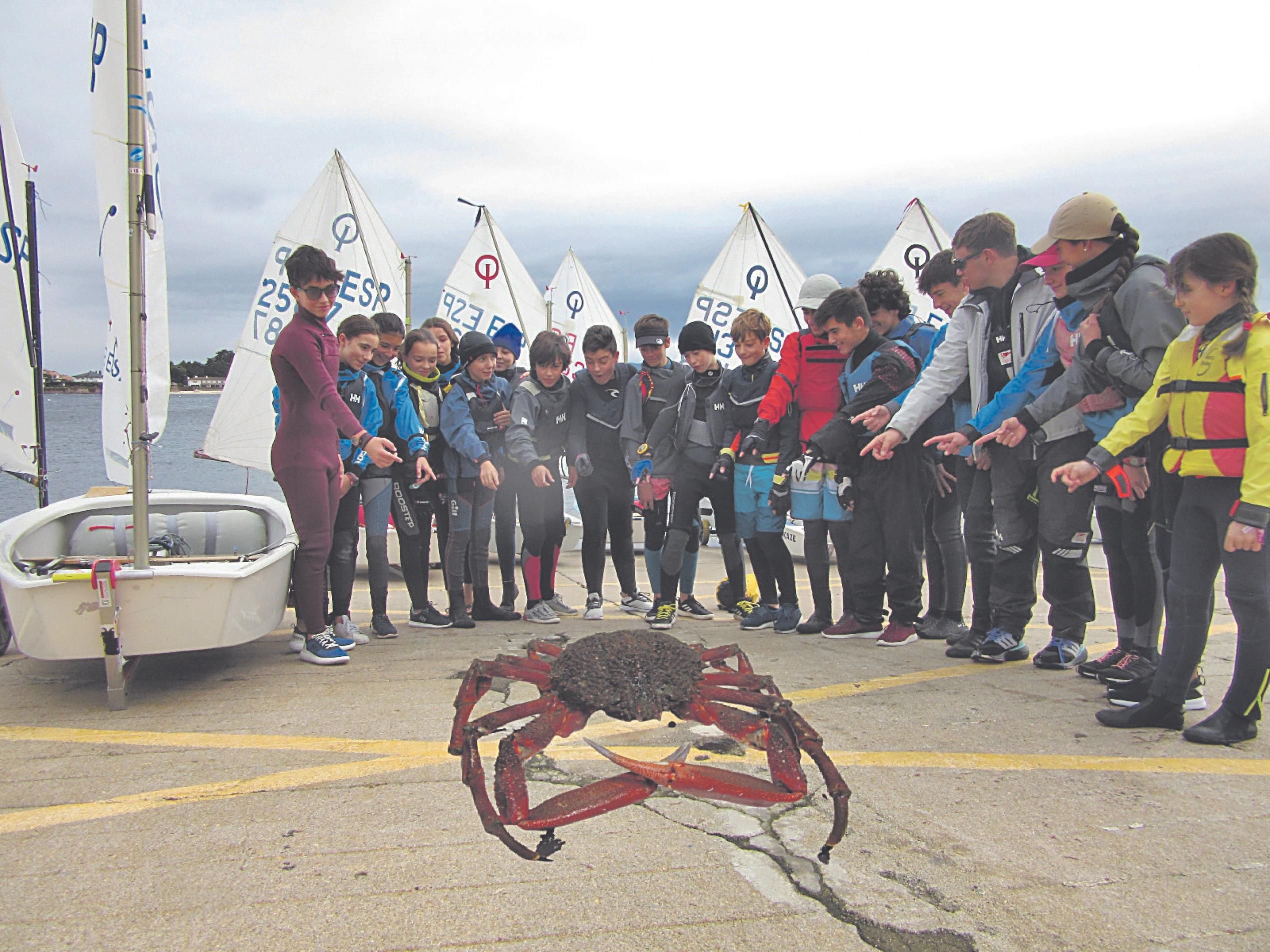 La supuesta centolla de 18 kilos.