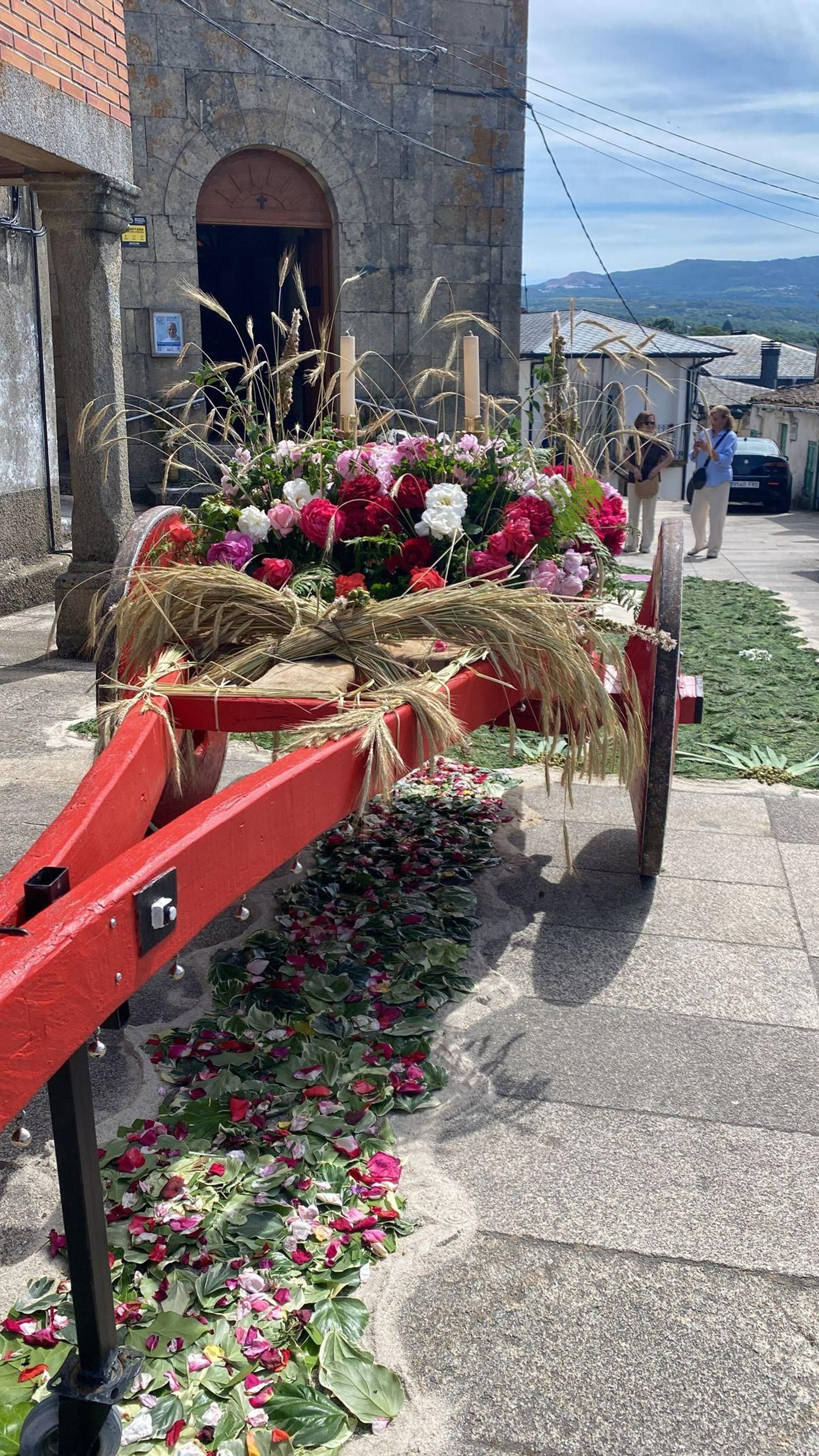 Alfombra floral por el Corpus Christi en Viana do Bolo.