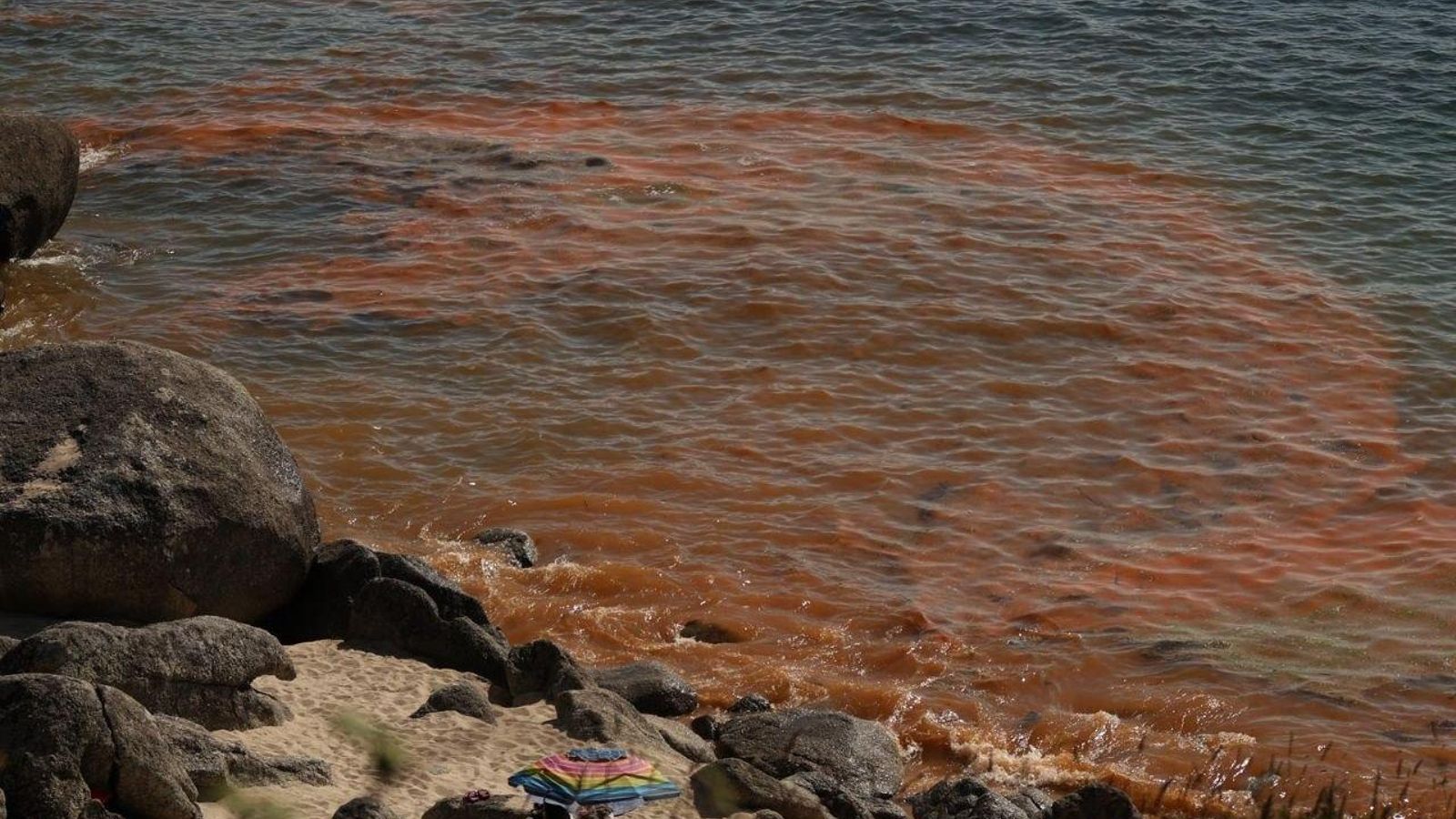 La marea roja apunta a una alta probabilidad de que se produzca el mar de ardora por la noche.