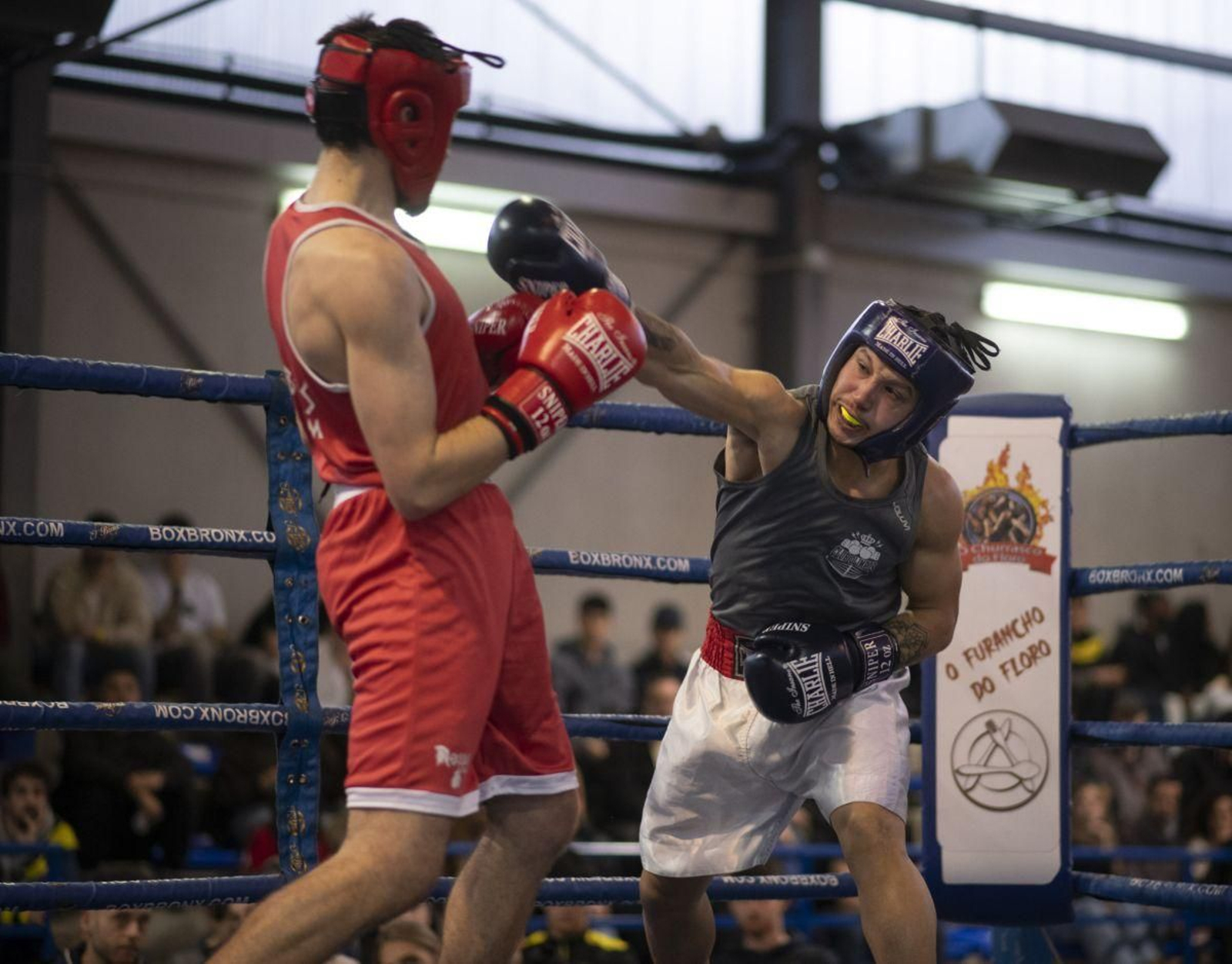 Galería | Espectáculo de nivel entre las 12 cuerdas