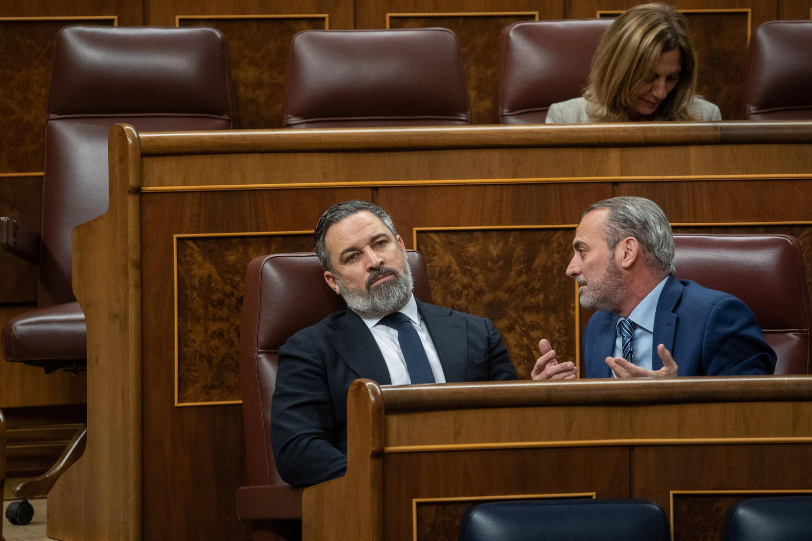 Santaigo Abascal en el Congreso de los Diputados este martes