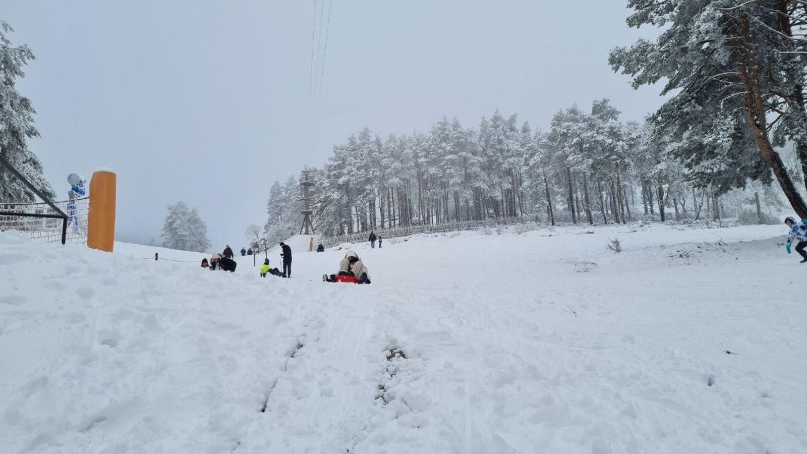 Los trineos han causado furor en Manzaneda esta mañana.