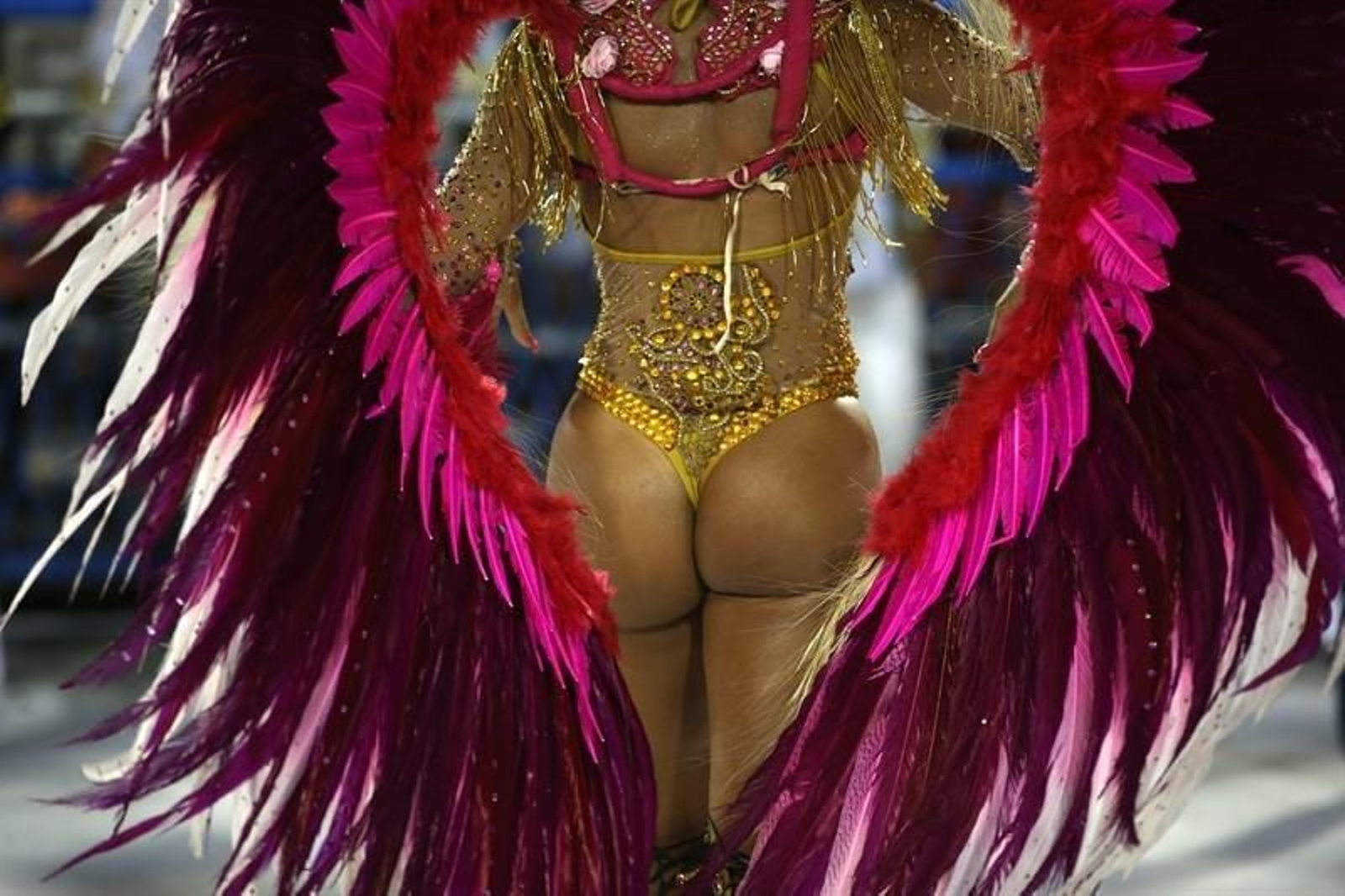 Celebración del carnaval en Río de Janeiro 10