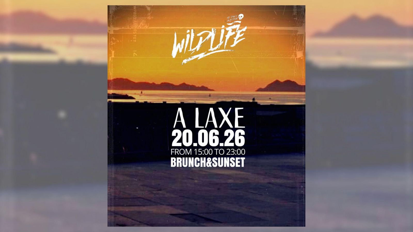 Wildlife Brunch & Sunset.